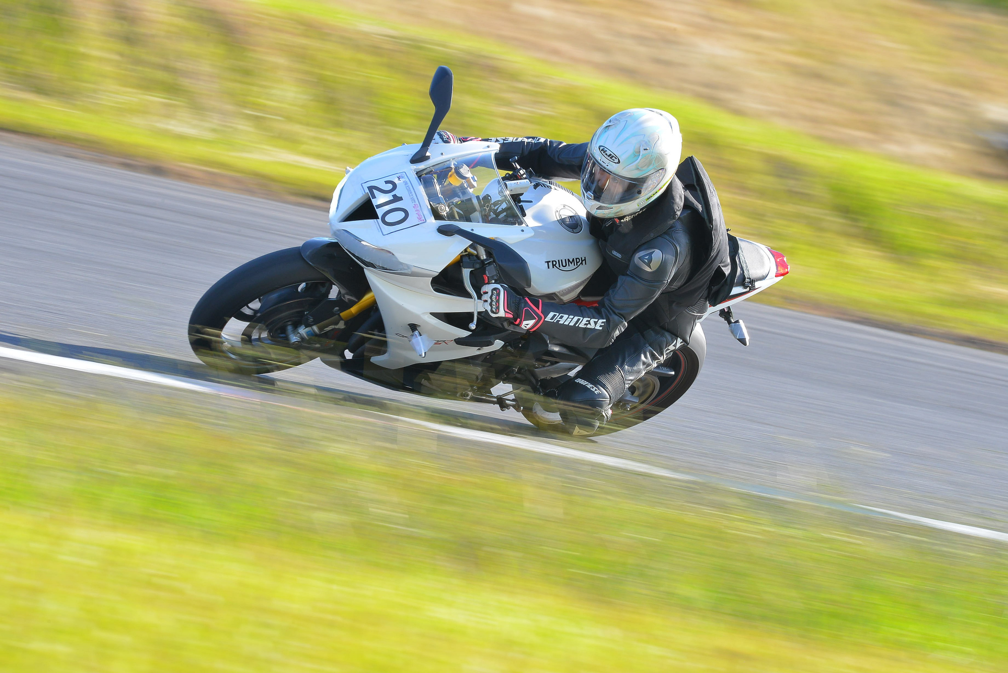 D8J_0645.JPG