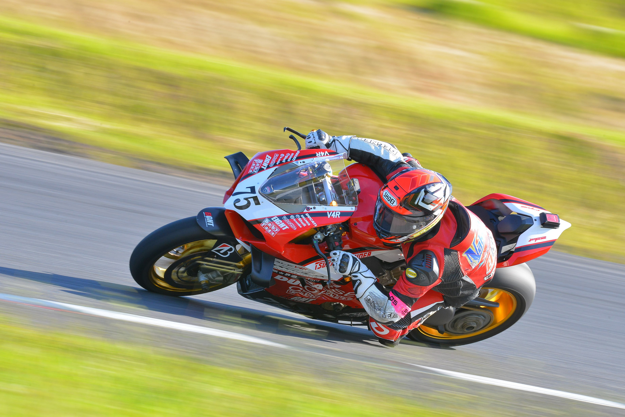 D8J_0785.JPG