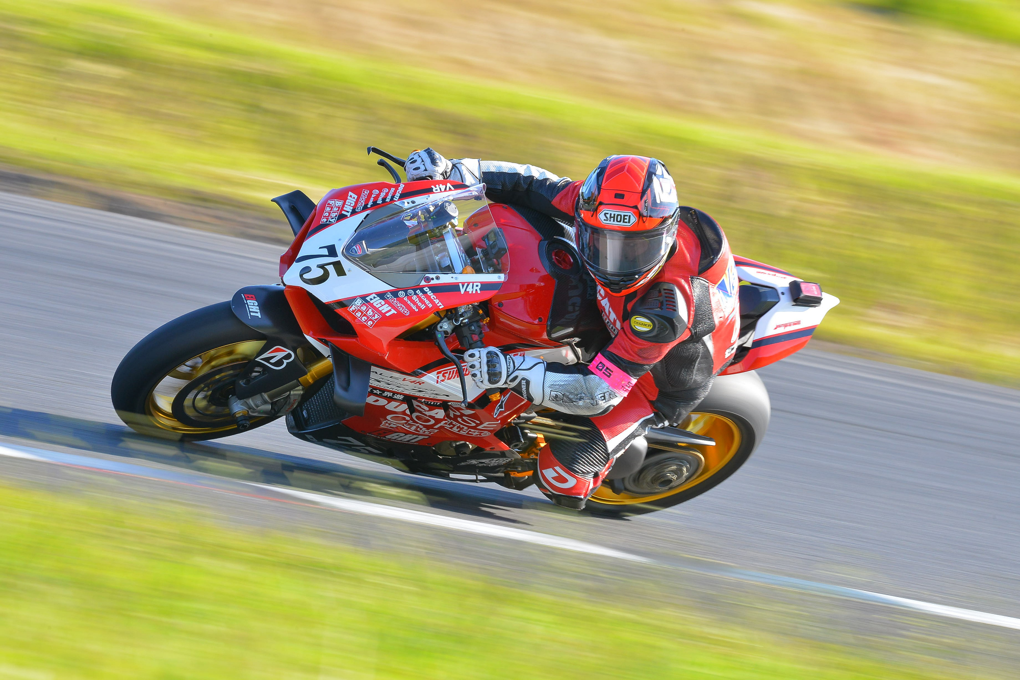 D8J_0799.JPG