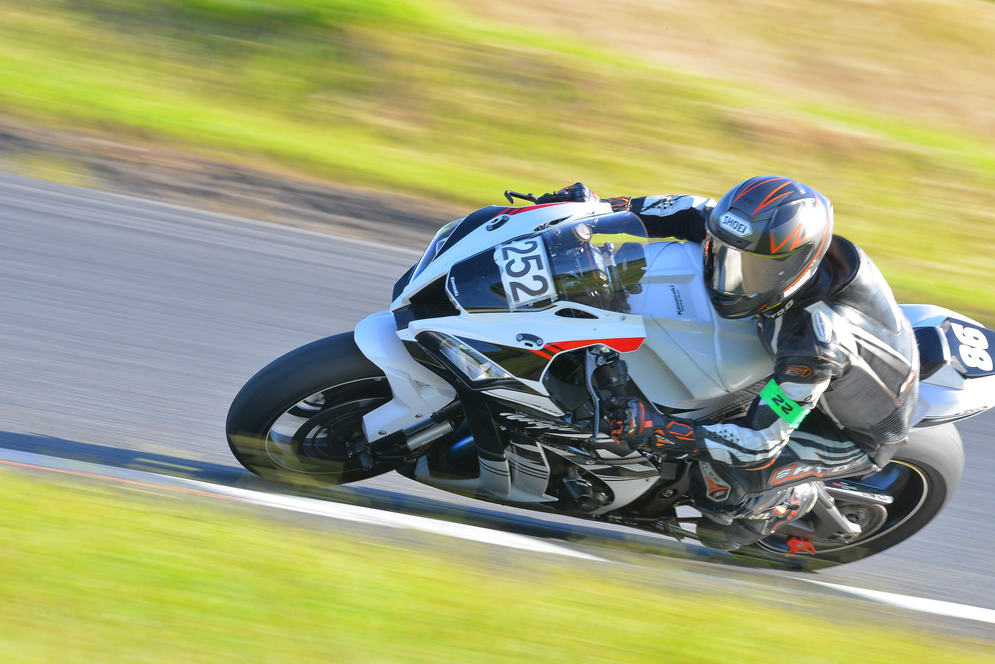 D8J_0810.JPG