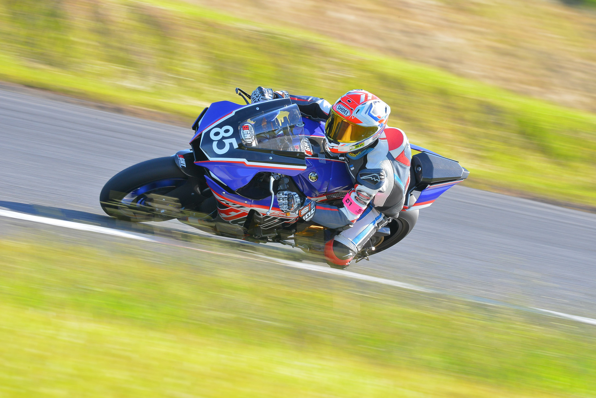 D8J_0826.JPG