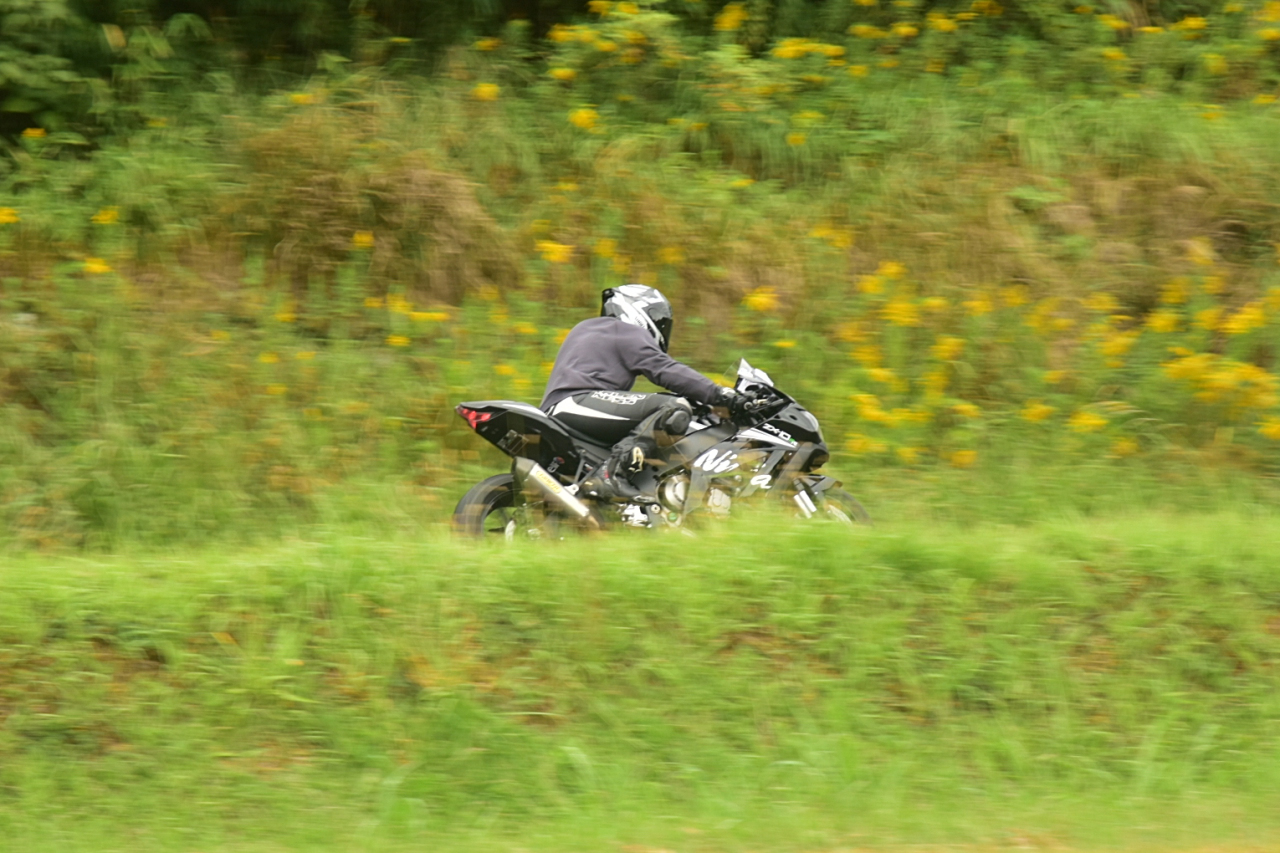 D72_3713.JPG