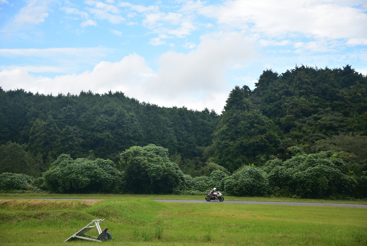 D72_3827.JPG