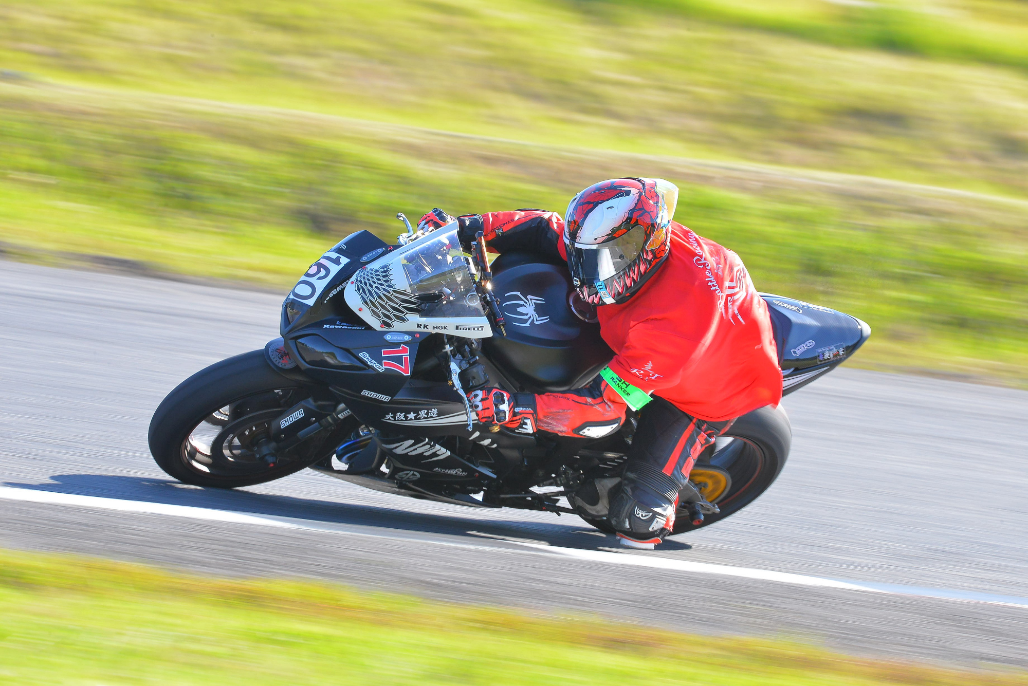 D8J_0006.JPG