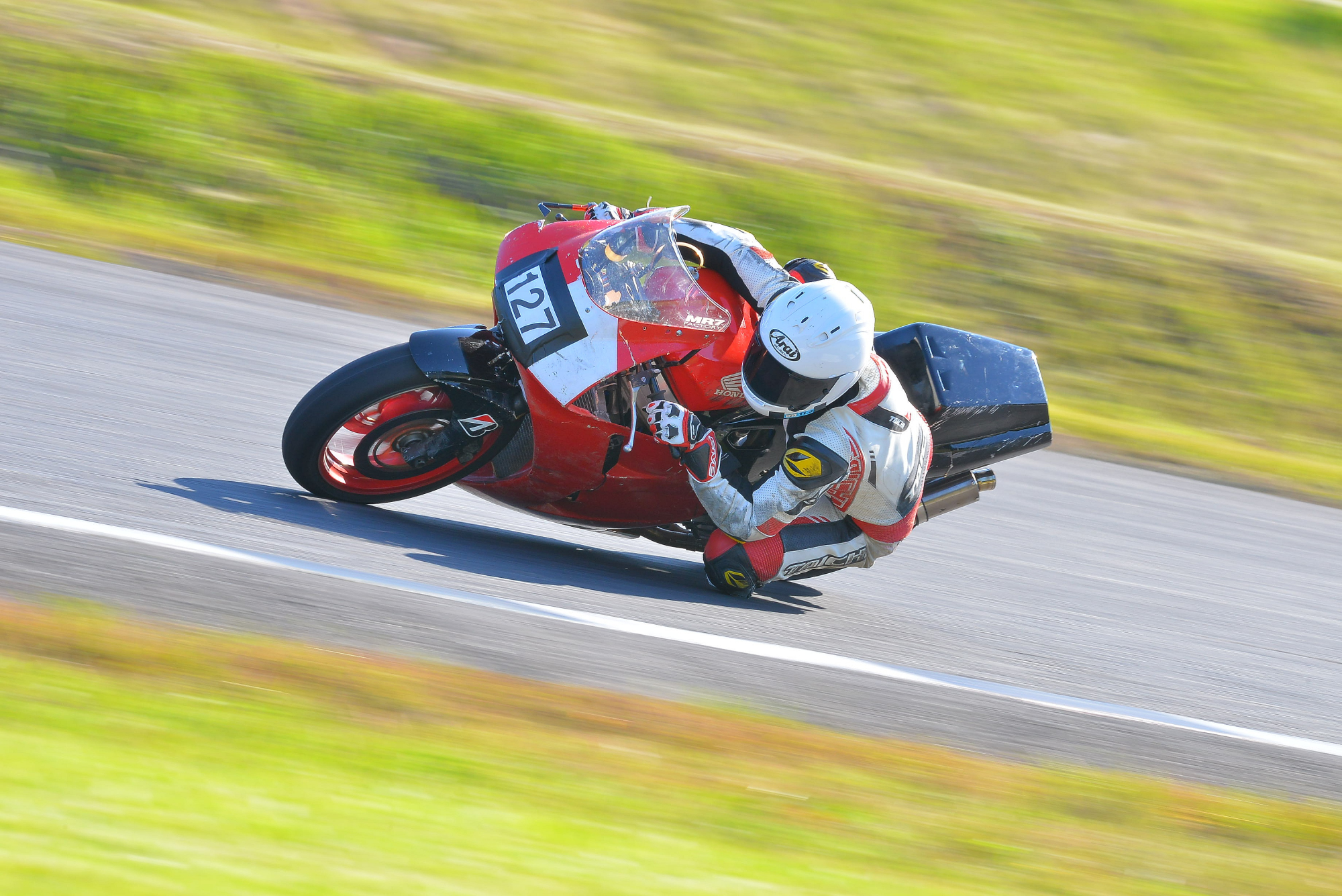D8J_0074.JPG