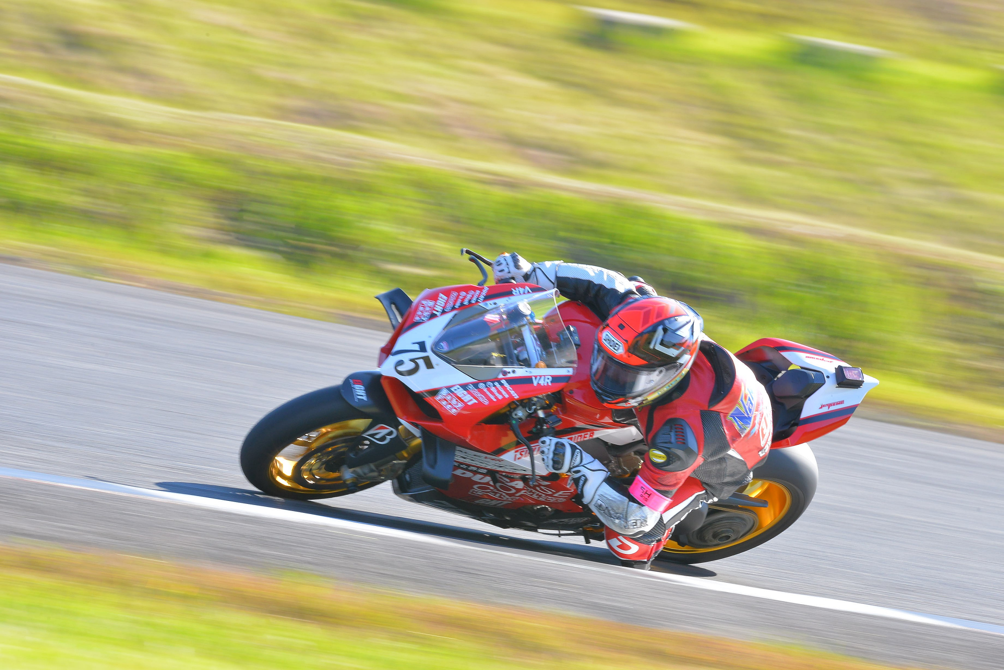 D8J_0170.JPG