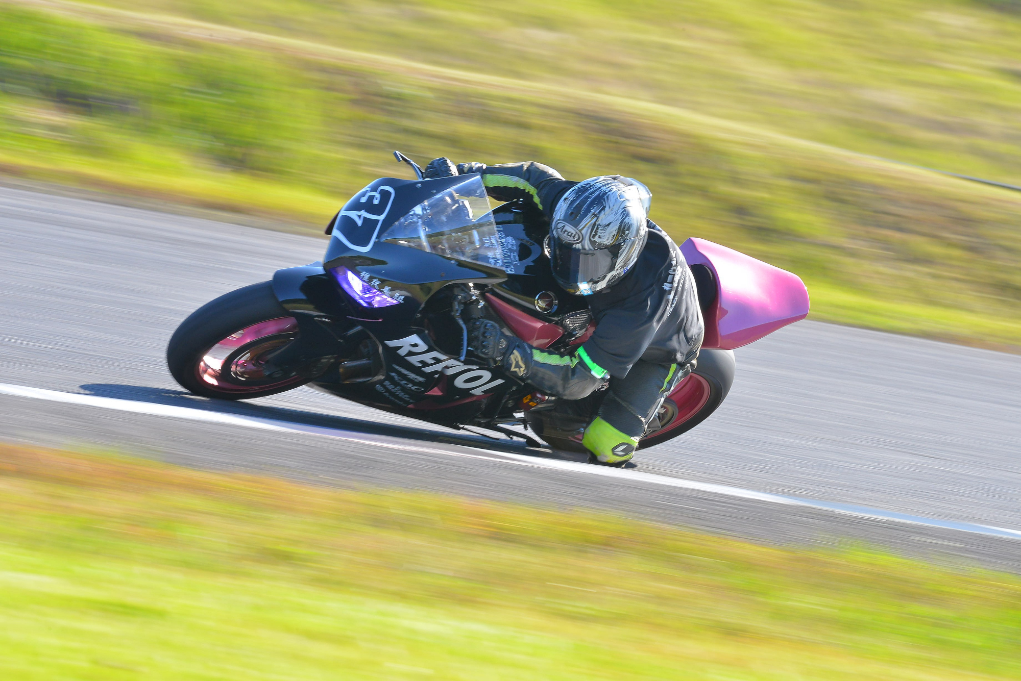 D8J_0213.JPG