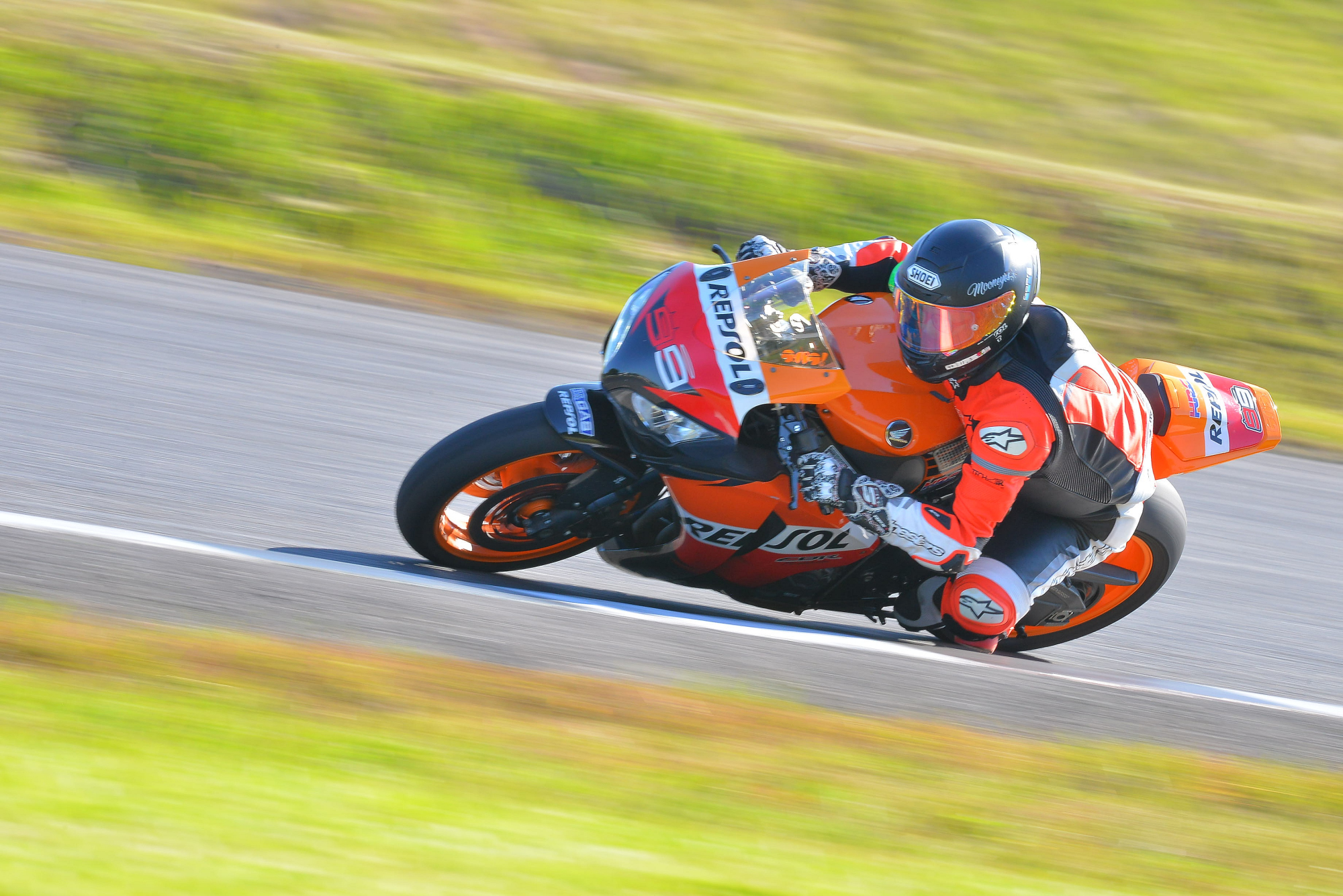 D8J_0217.JPG