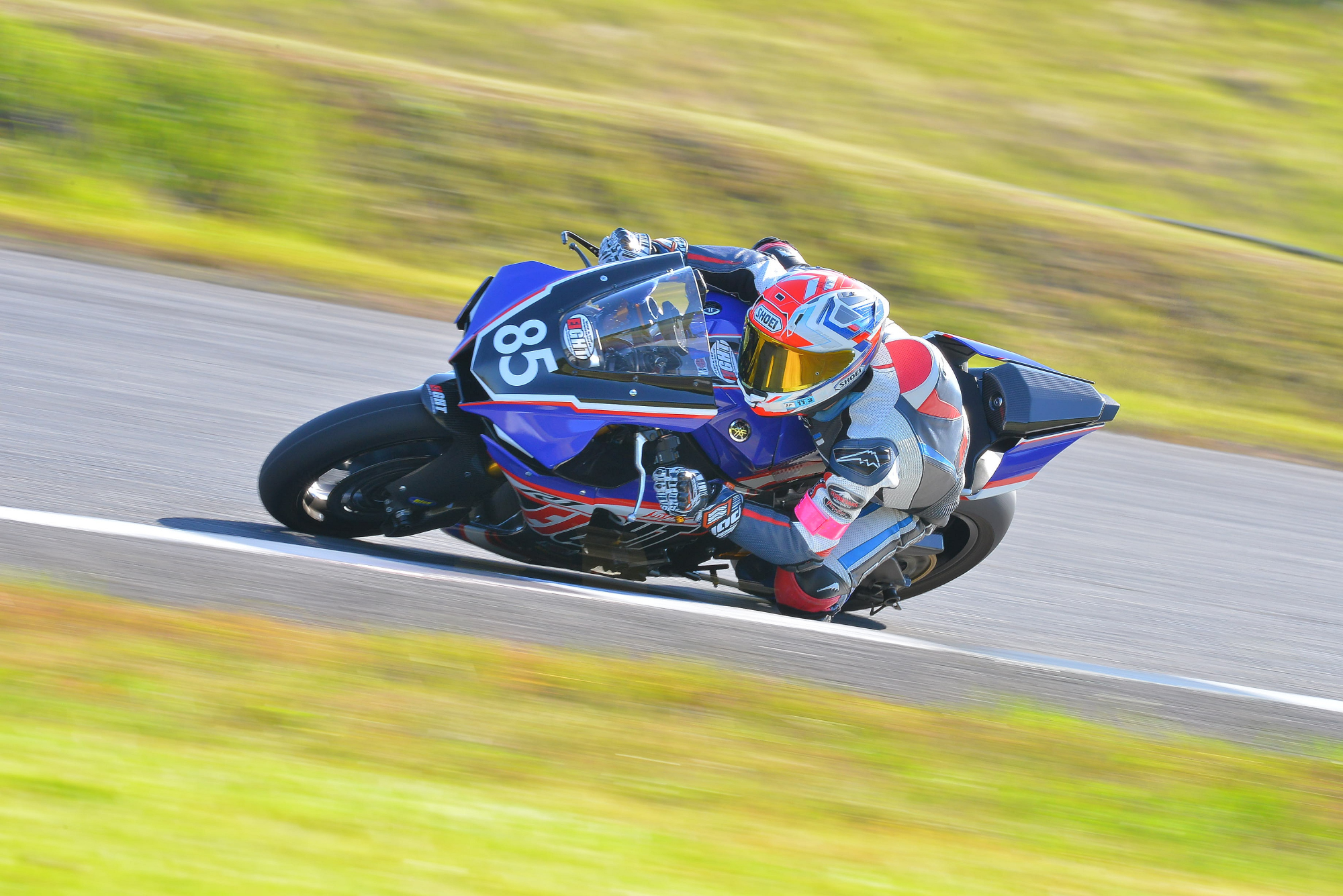 D8J_0221.JPG