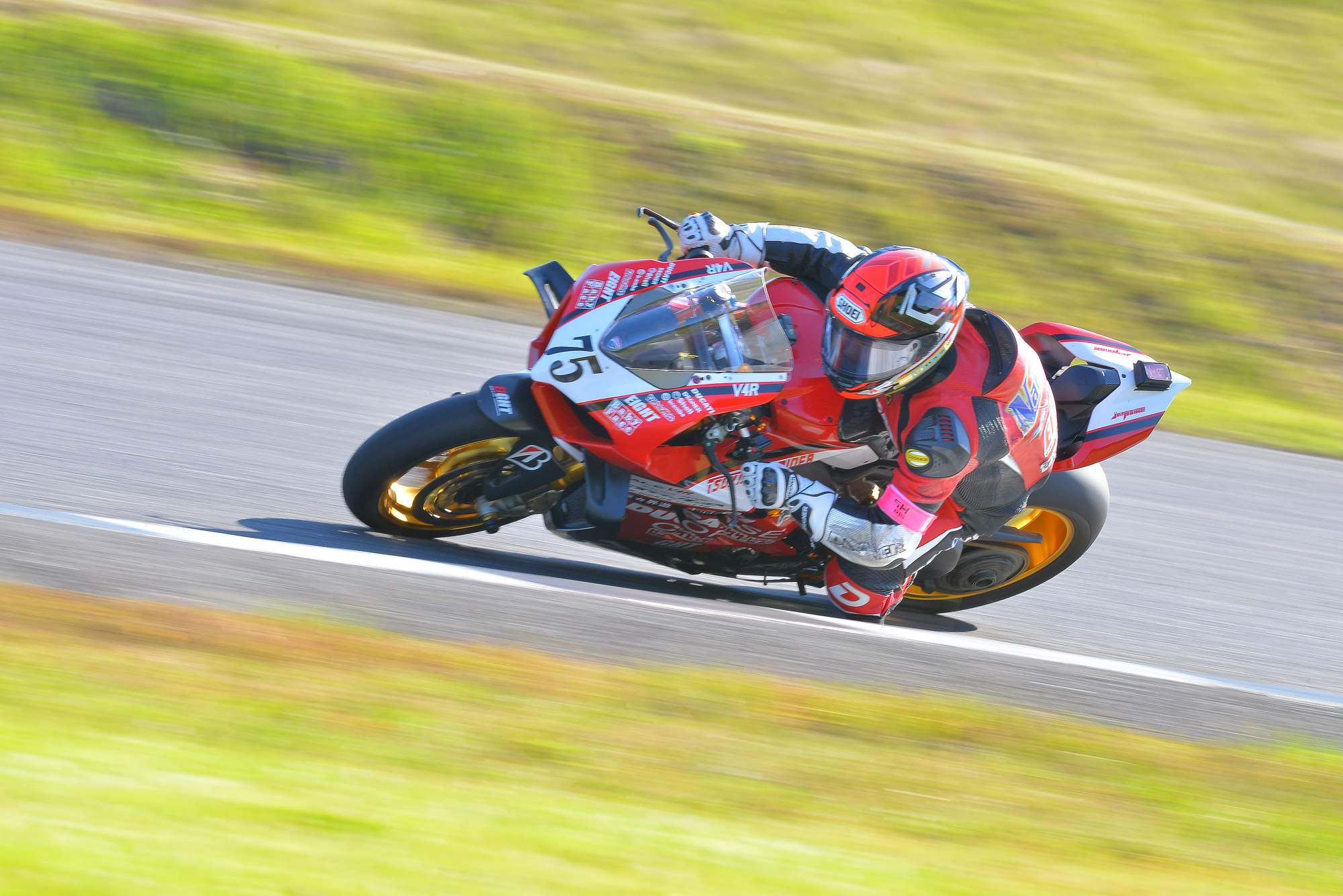 D8J_0225.JPG