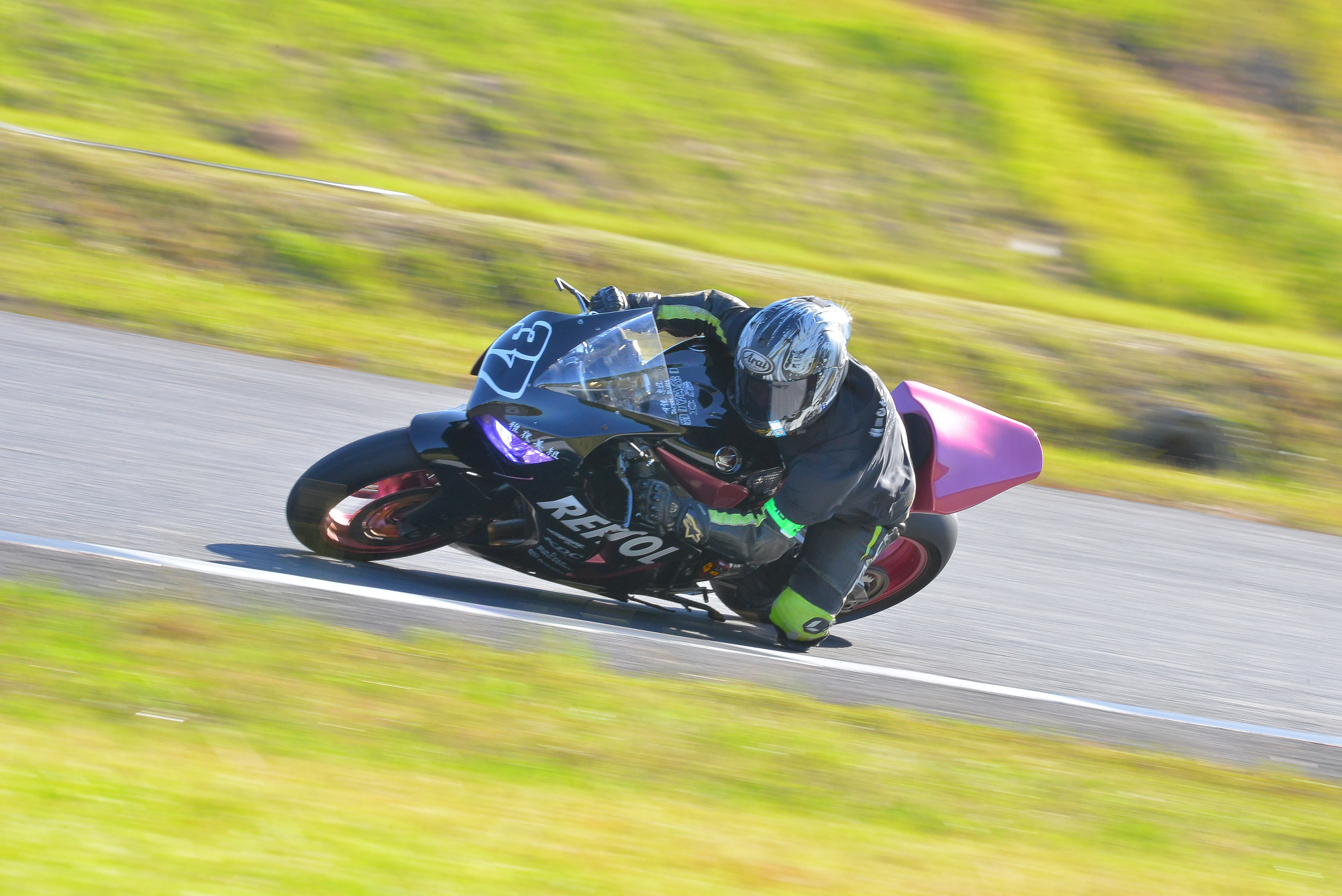 D8J_0250.JPG