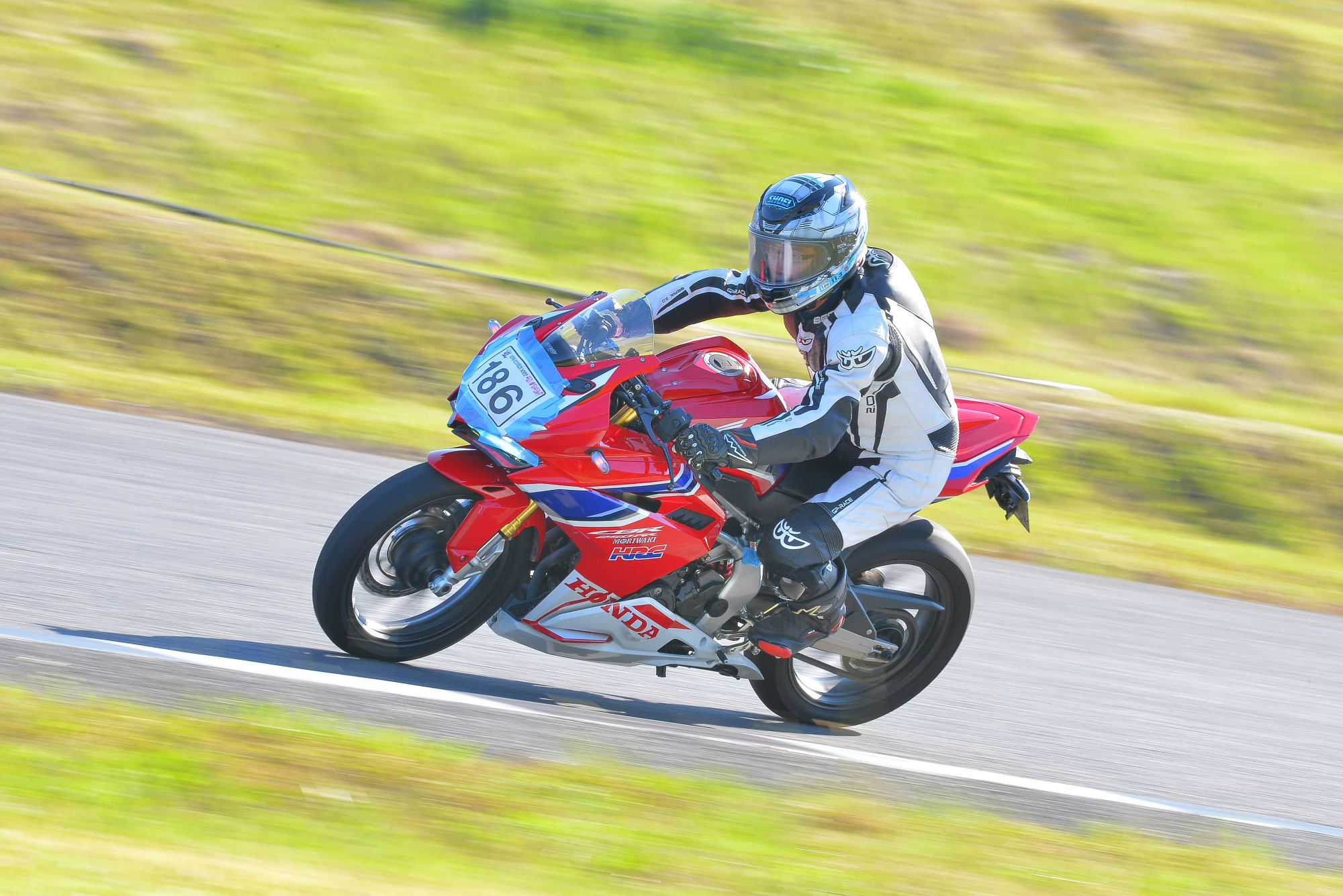 D8J_0264.JPG
