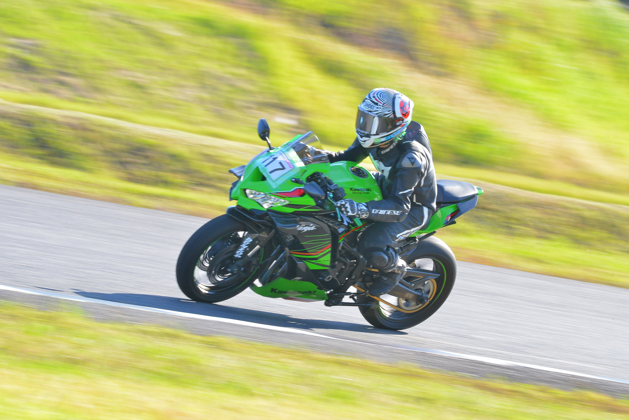 D8J_0272.JPG