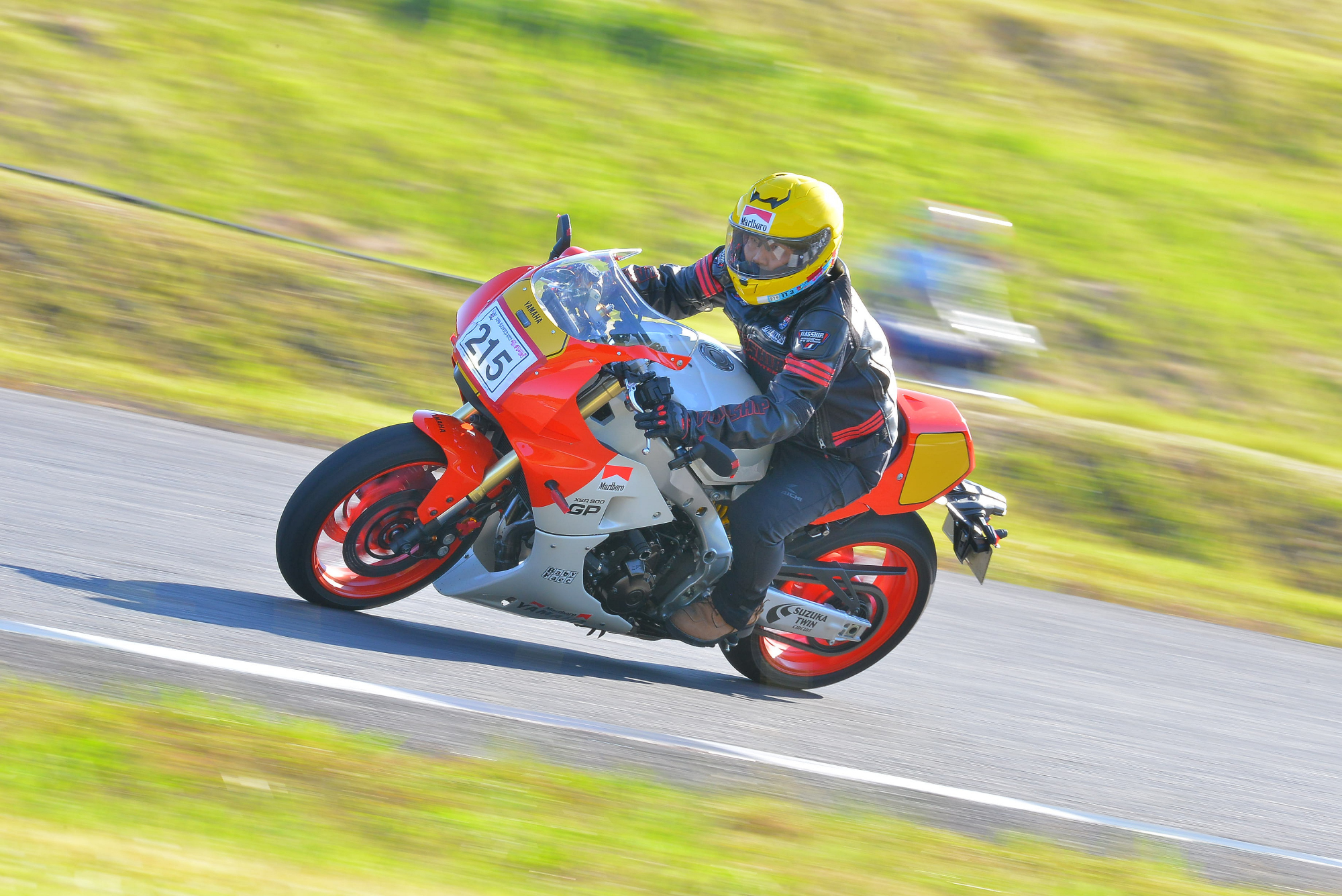 D8J_0286.JPG