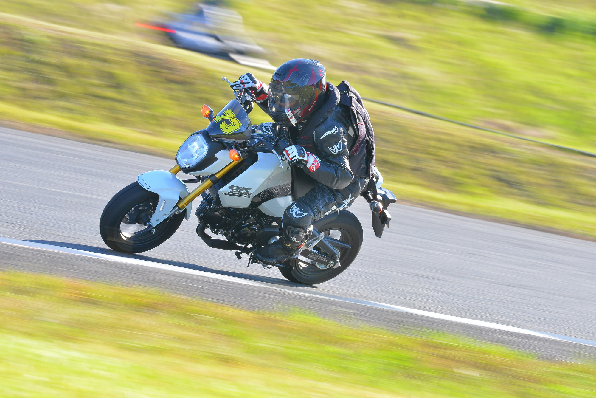 D8J_0296.JPG