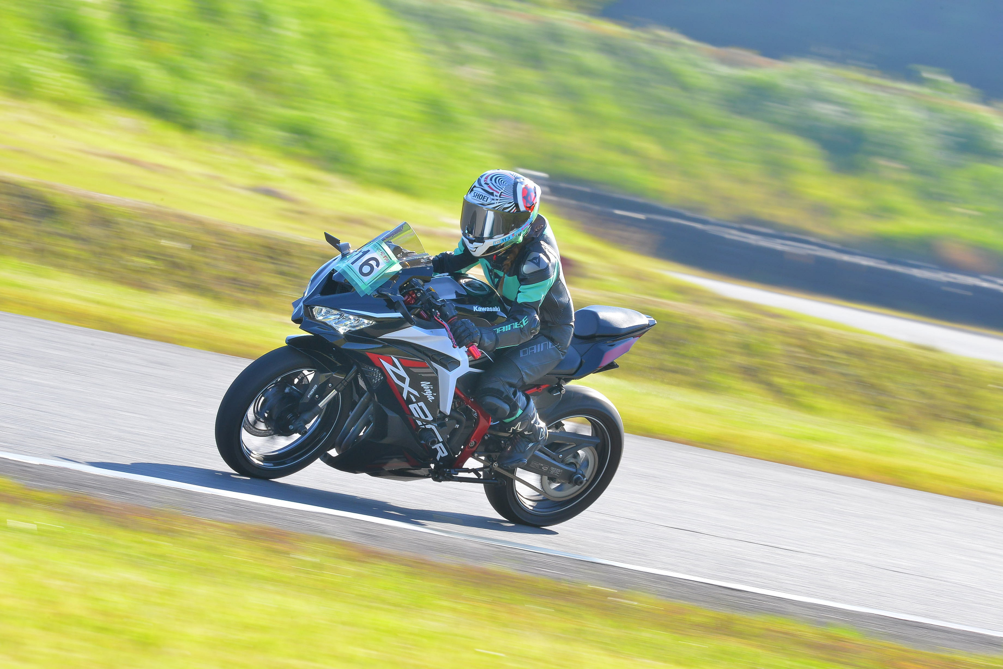 D8J_0334.JPG