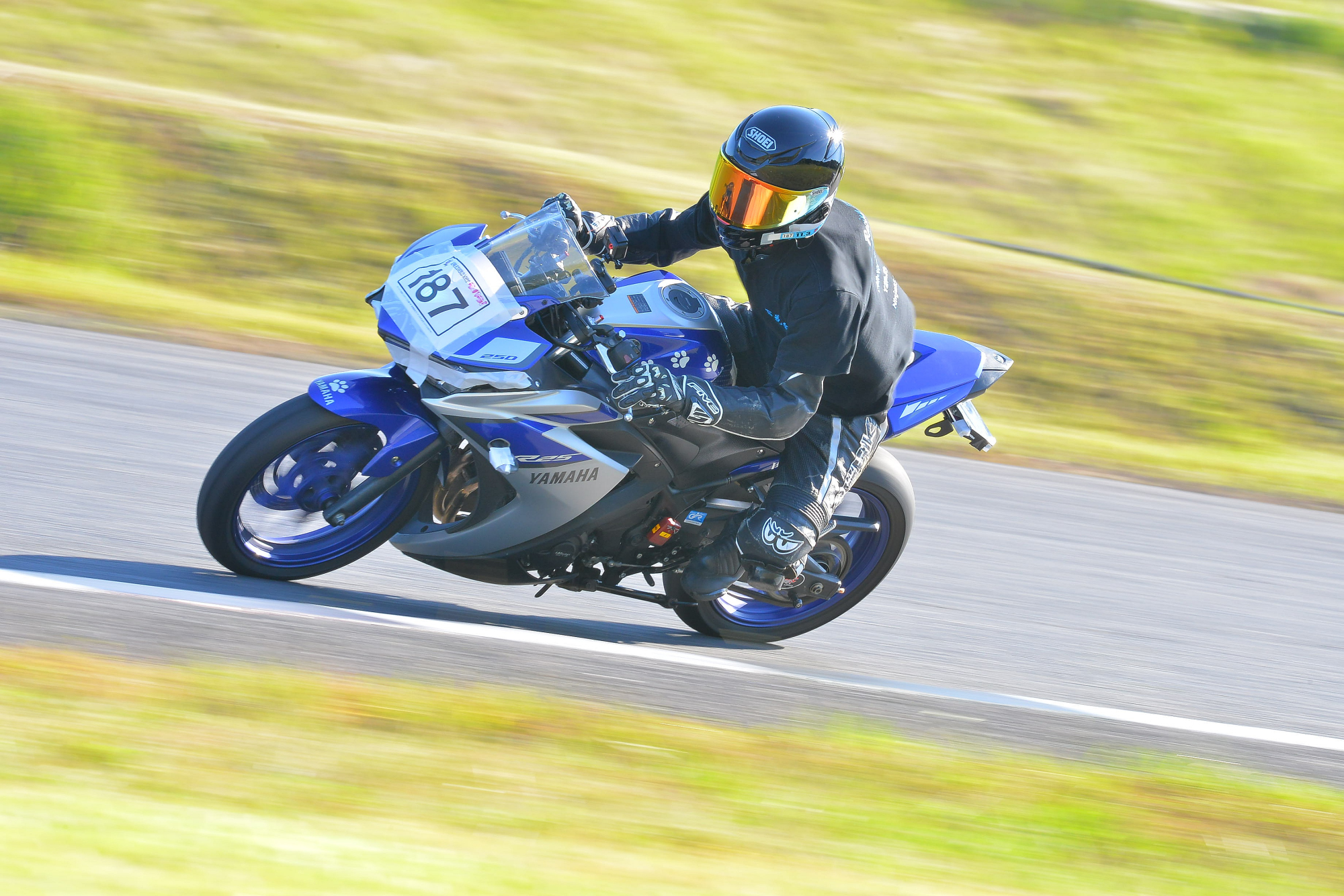 D8J_0438.JPG