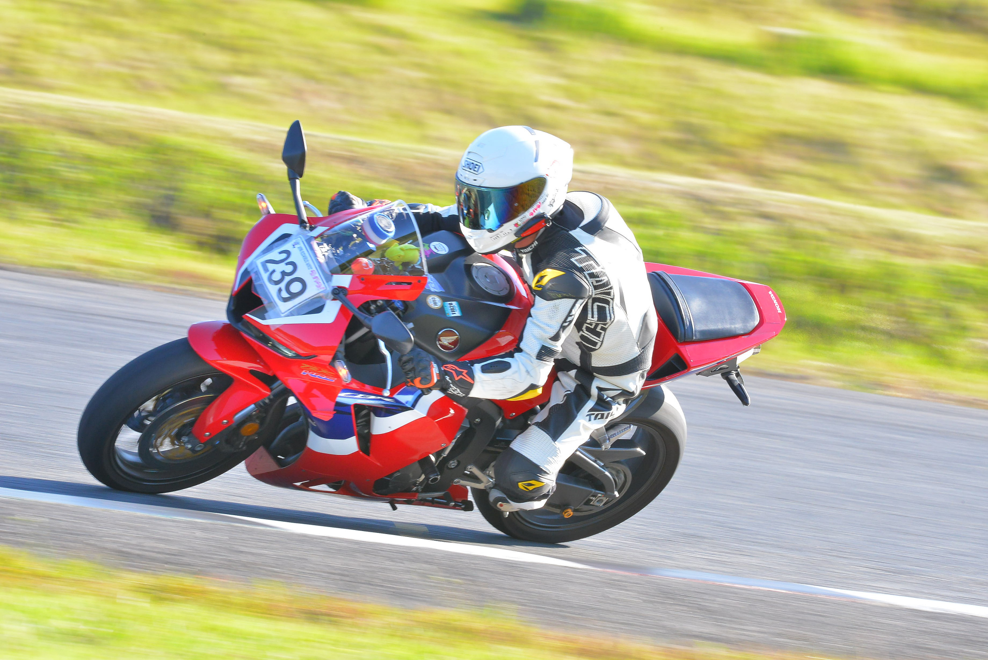 D8J_0520.JPG