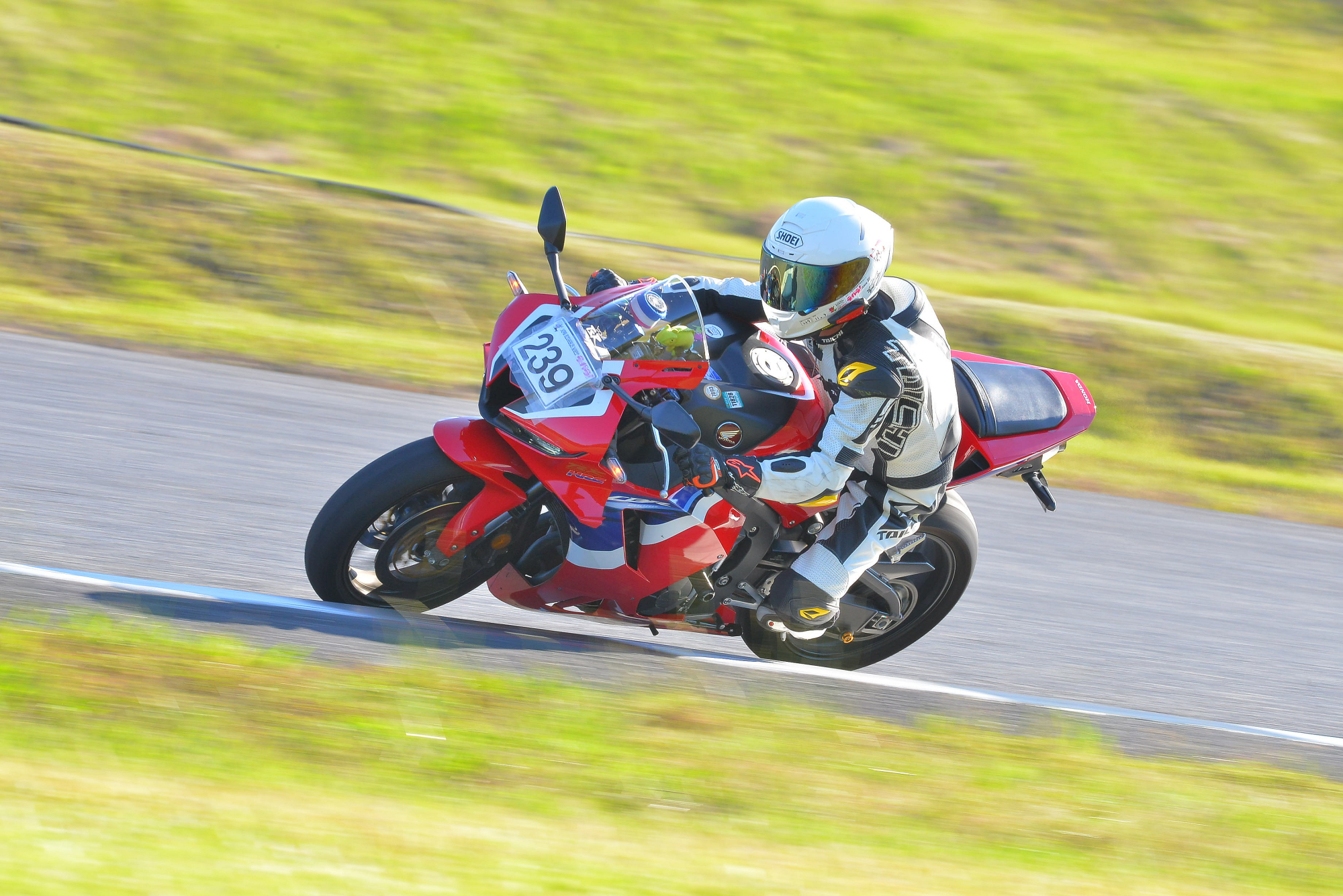D8J_0531.JPG