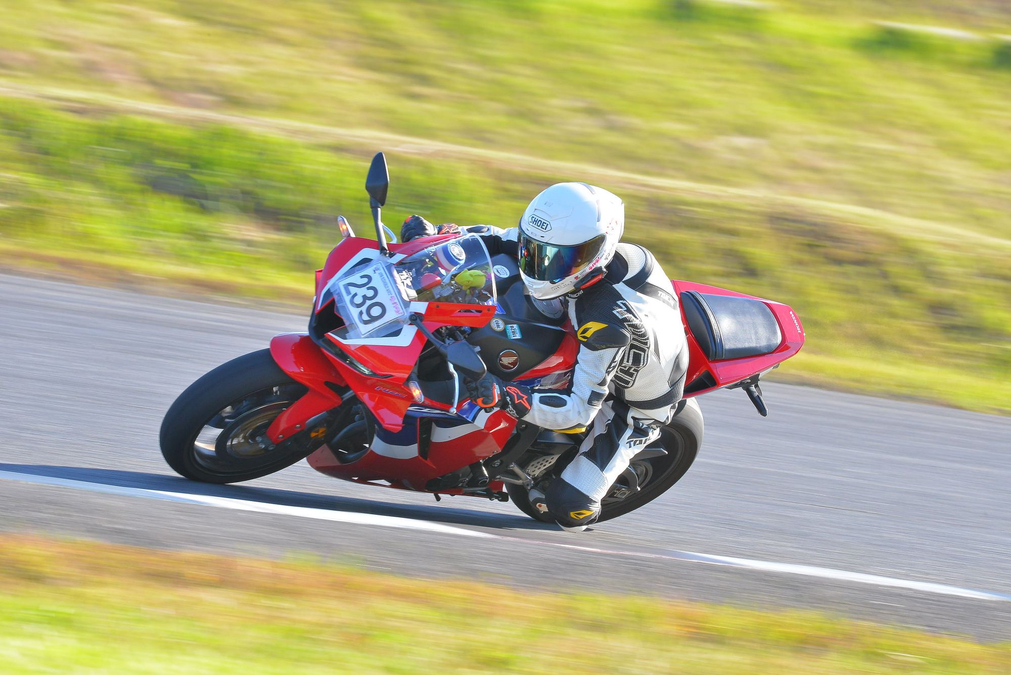 D8J_0557.JPG