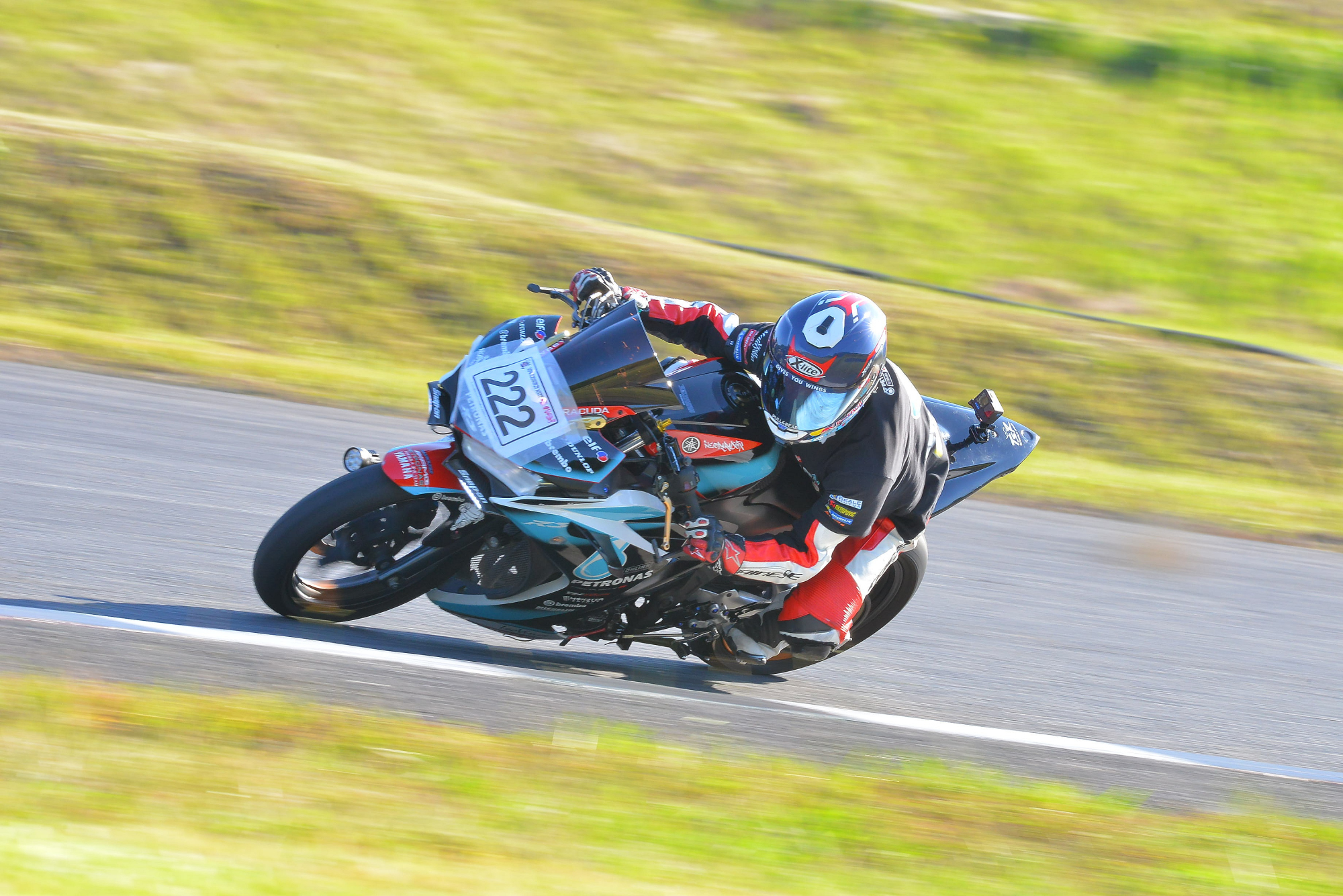 D8J_0582.JPG