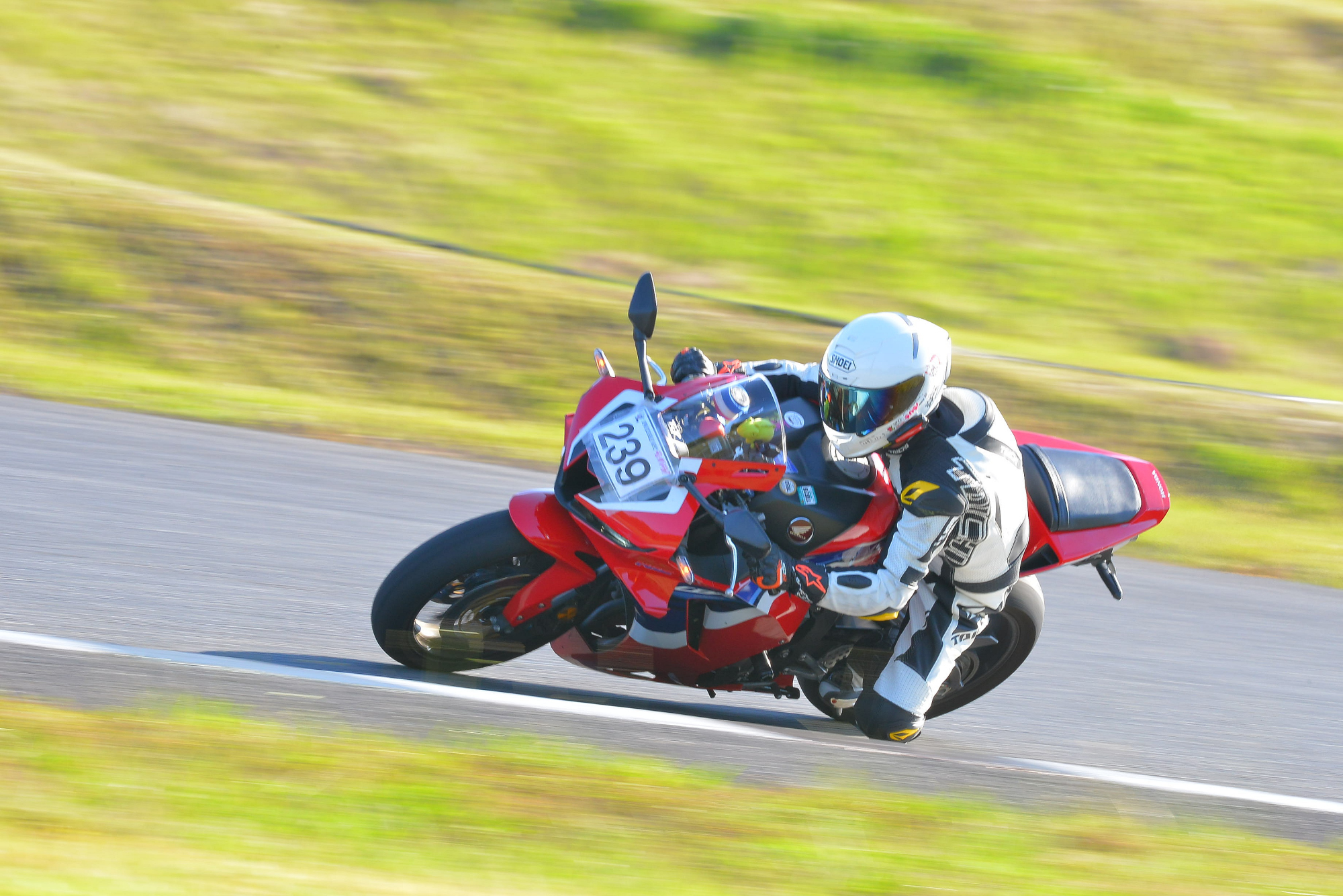 D8J_0647.JPG