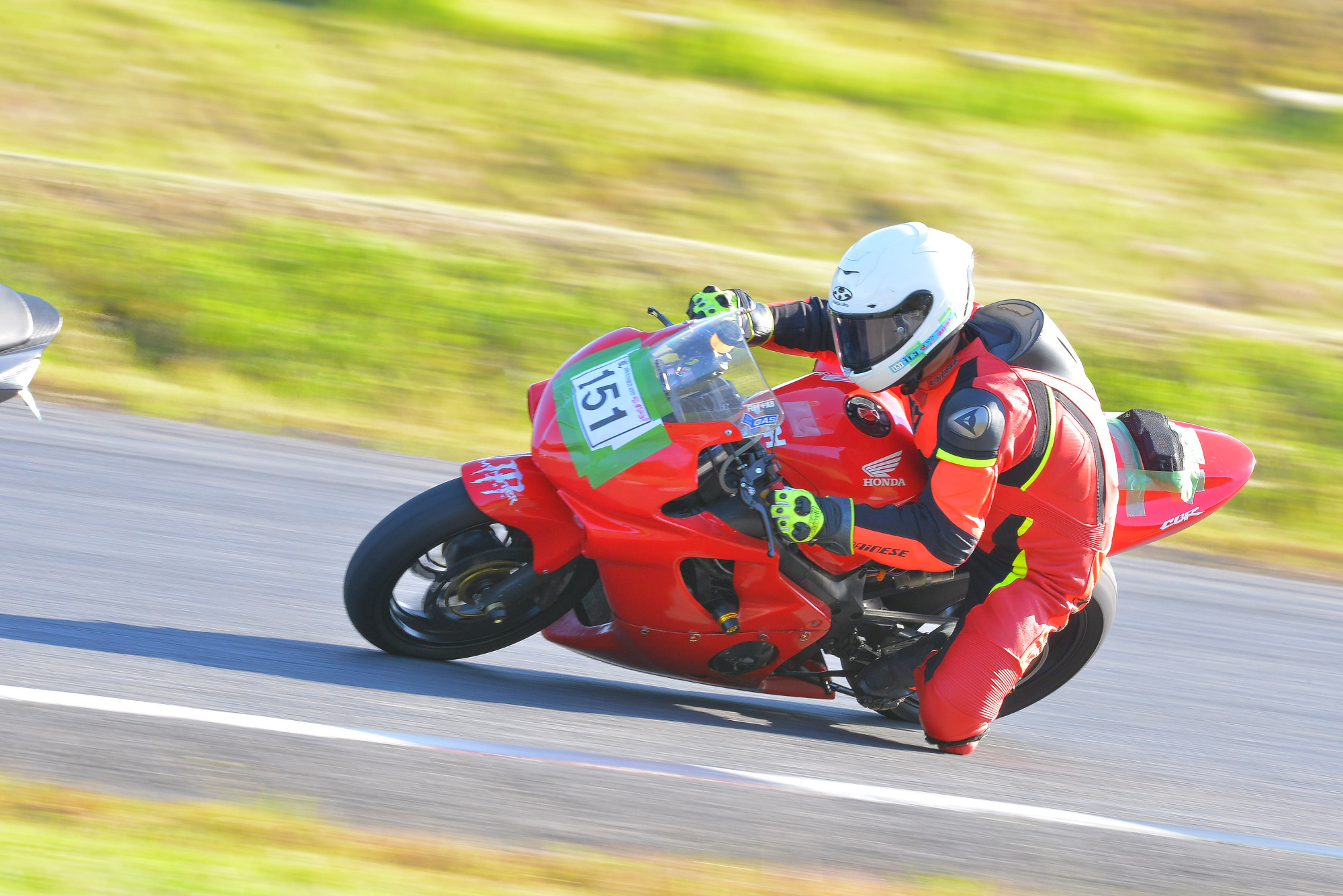 D8J_0684.JPG
