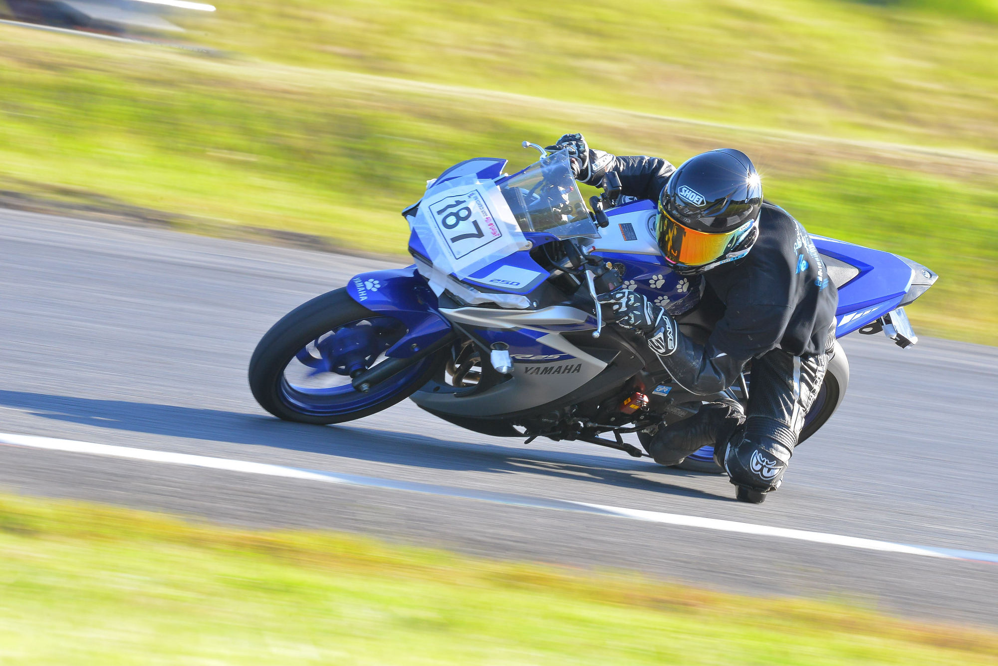 D8J_0685.JPG