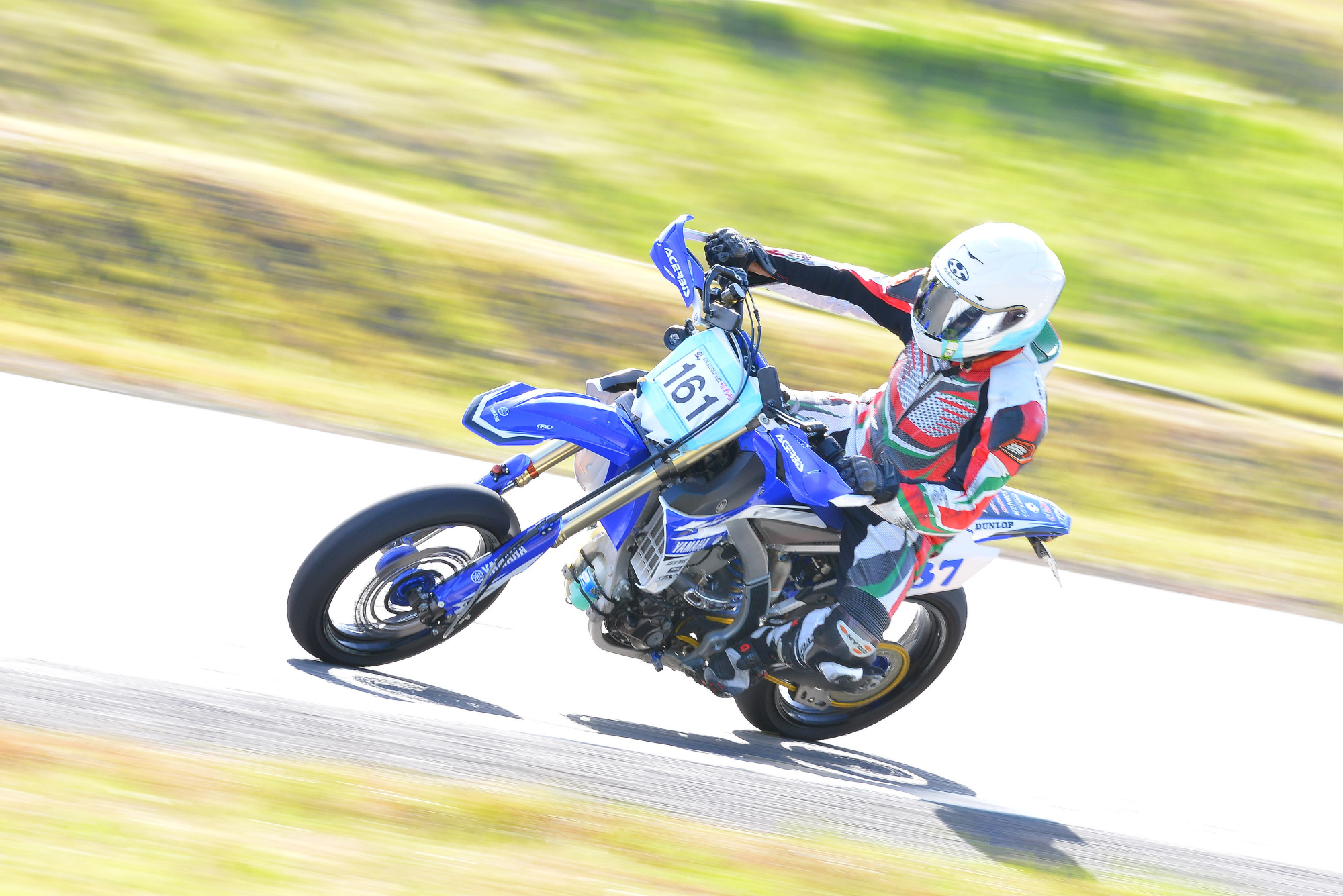 D8J_0101.JPG