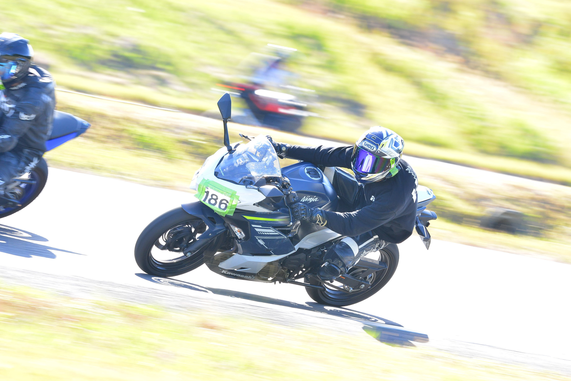 D8J_0149.JPG