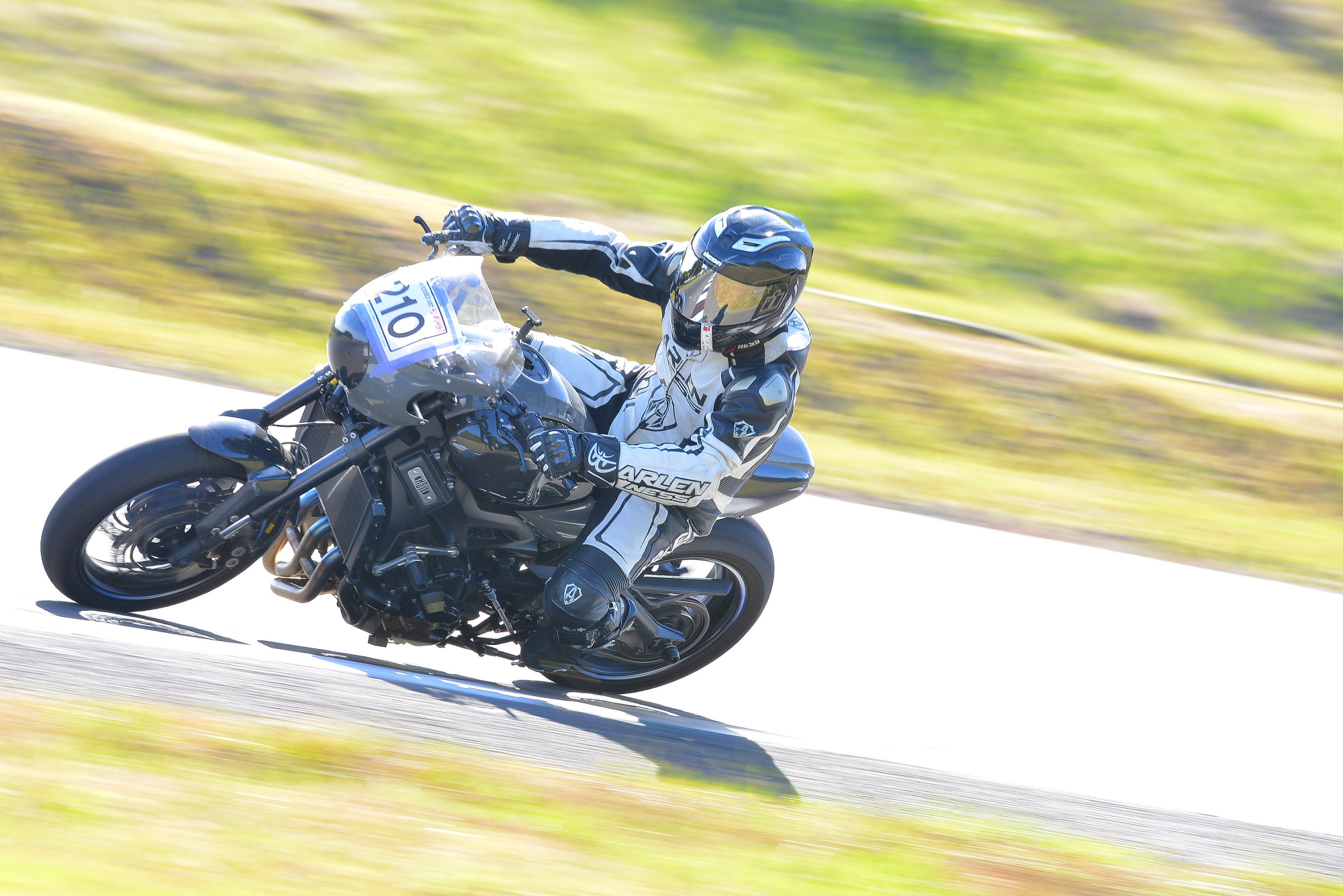 D8J_0150.JPG