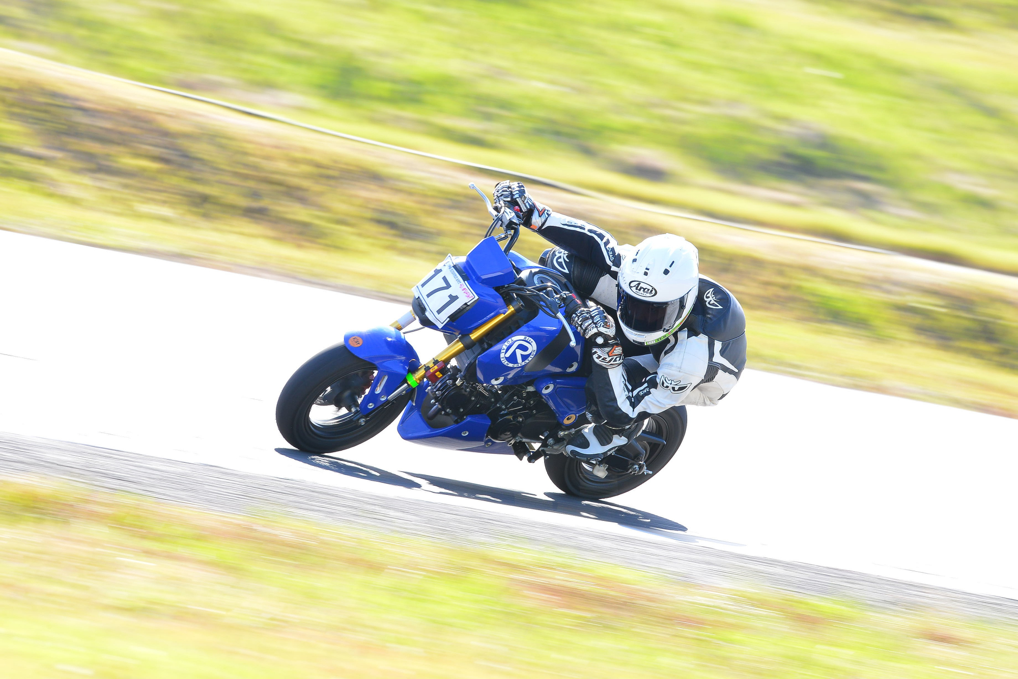 D8J_0156.JPG