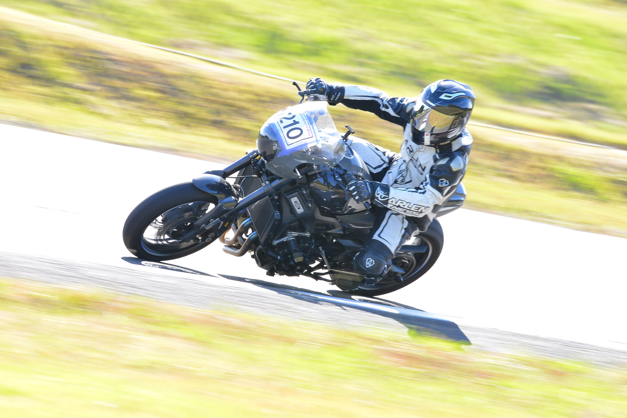 D8J_0174.JPG