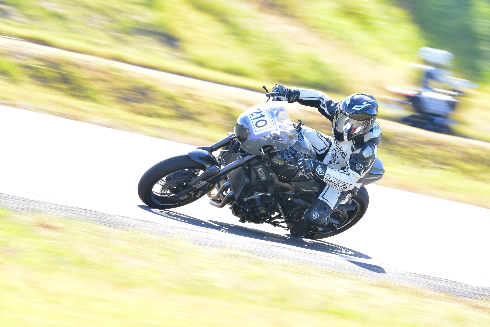 D8J_0244.JPG