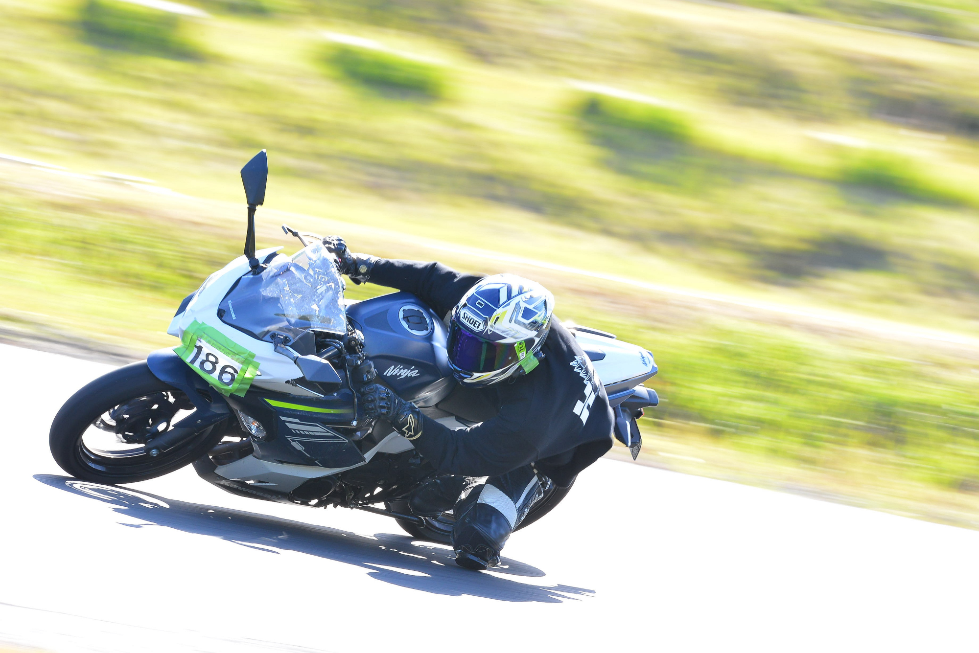 D8J_0248.JPG