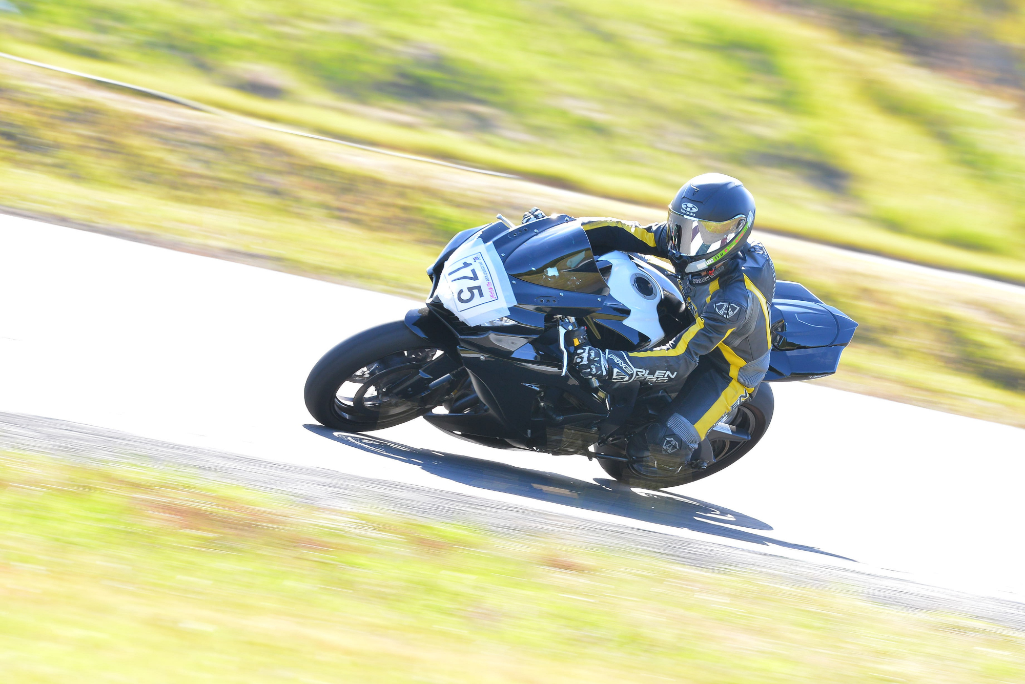 D8J_0262.JPG