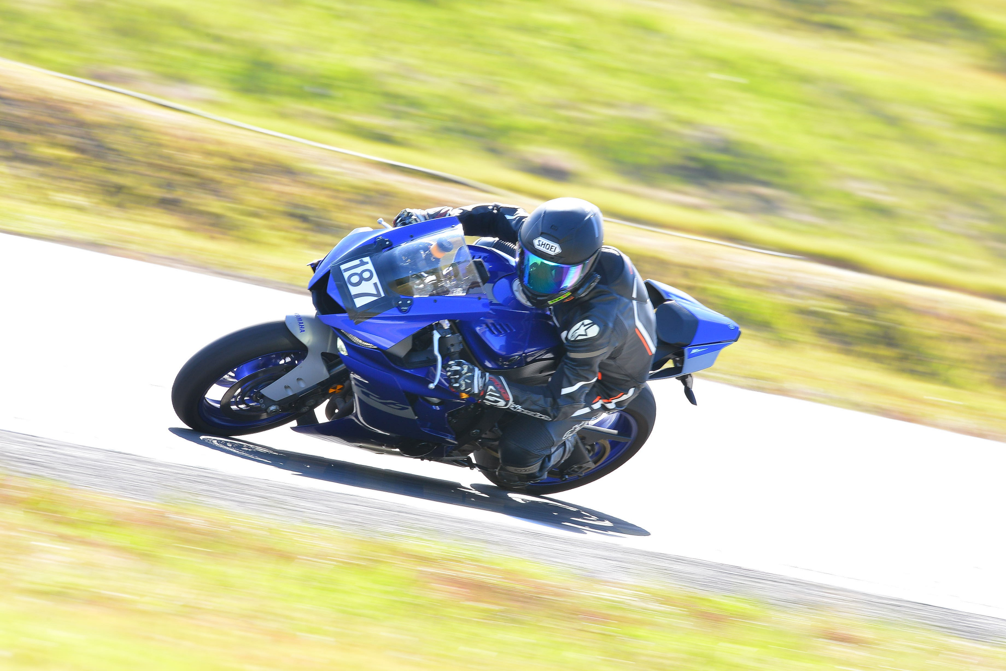 D8J_0265.JPG