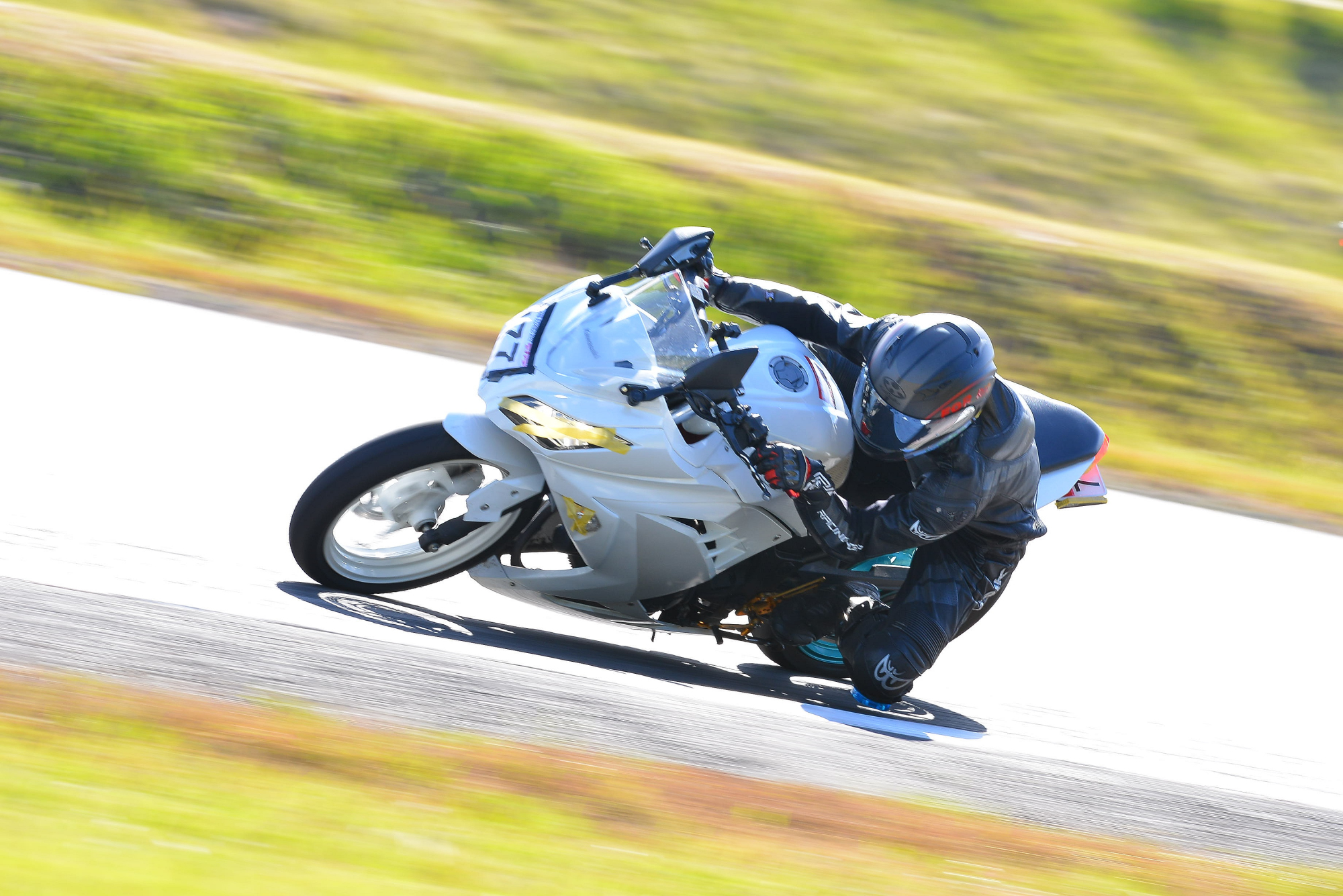 D8J_0286.JPG