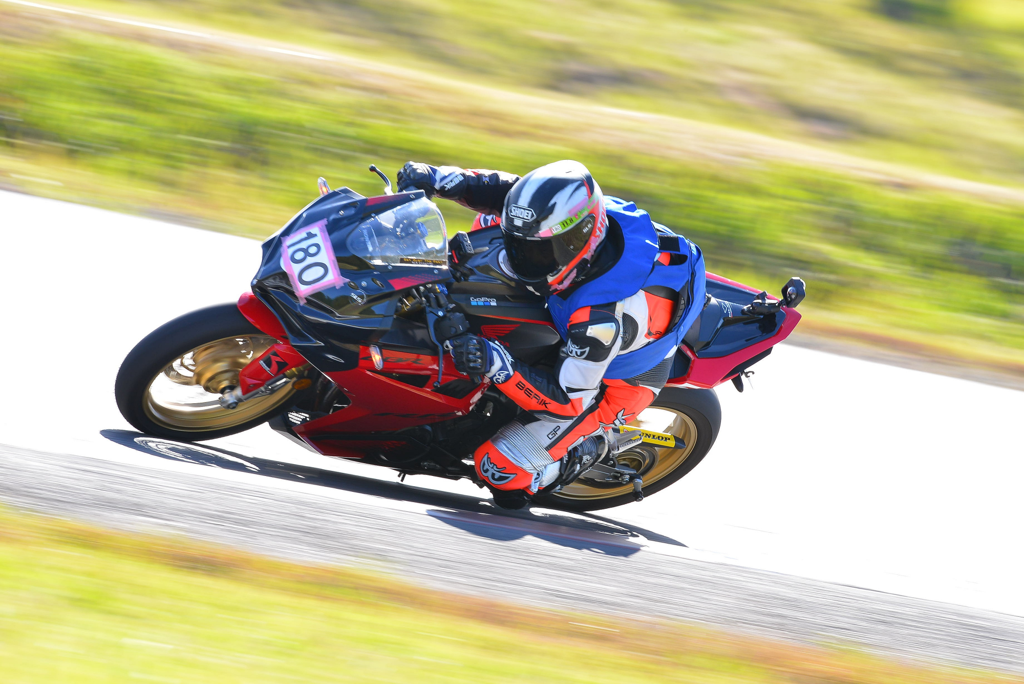 D8J_0288.JPG