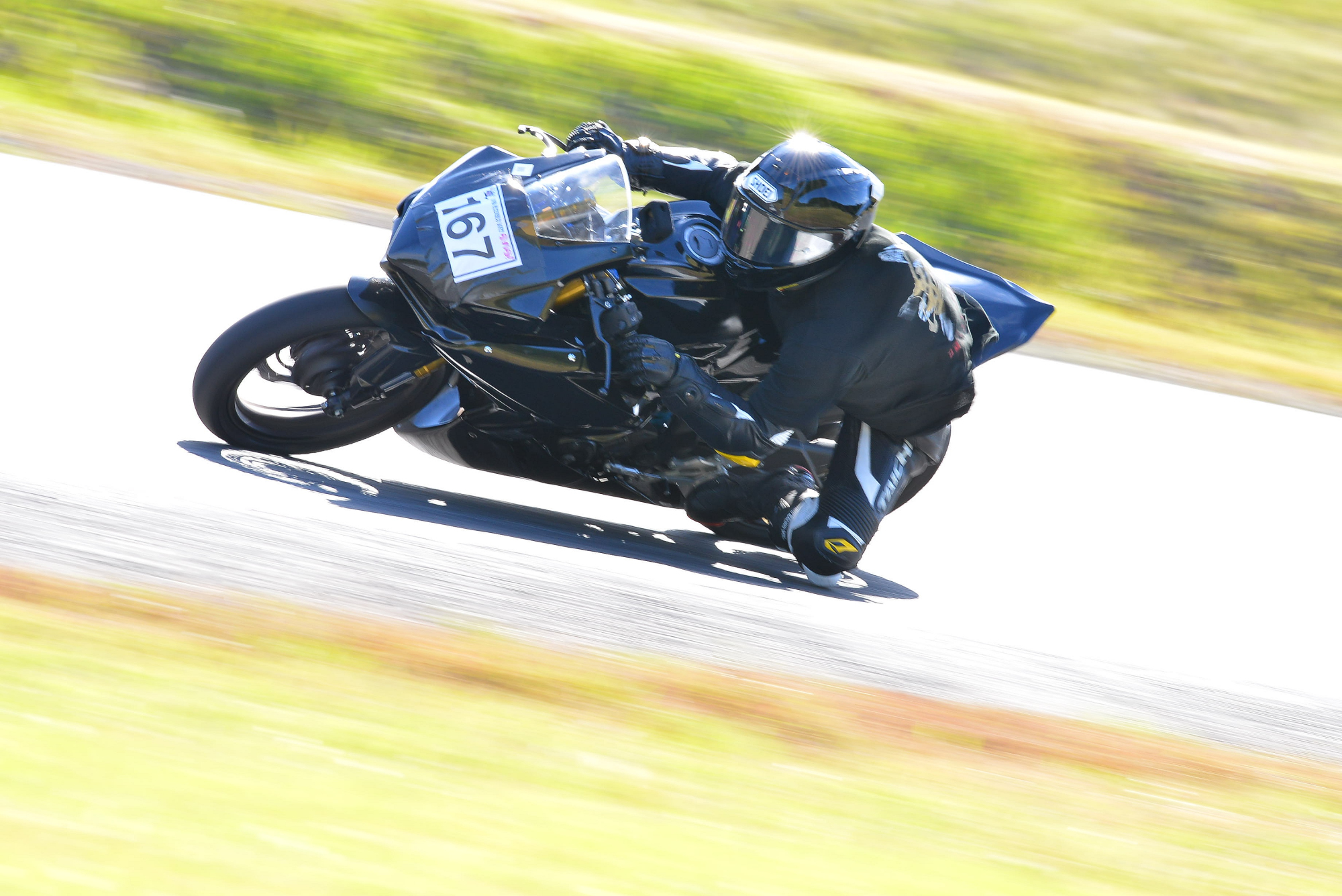 D8J_0290.JPG