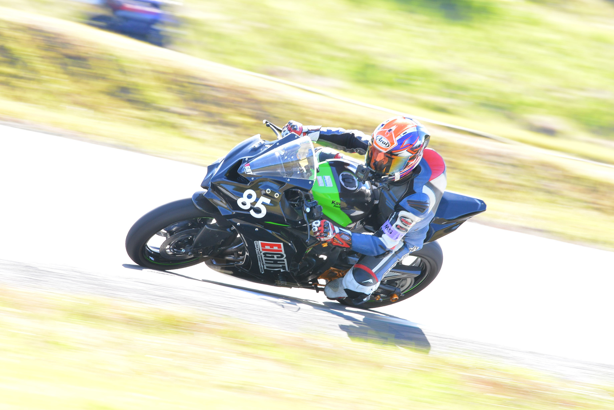 D8J_0294.JPG