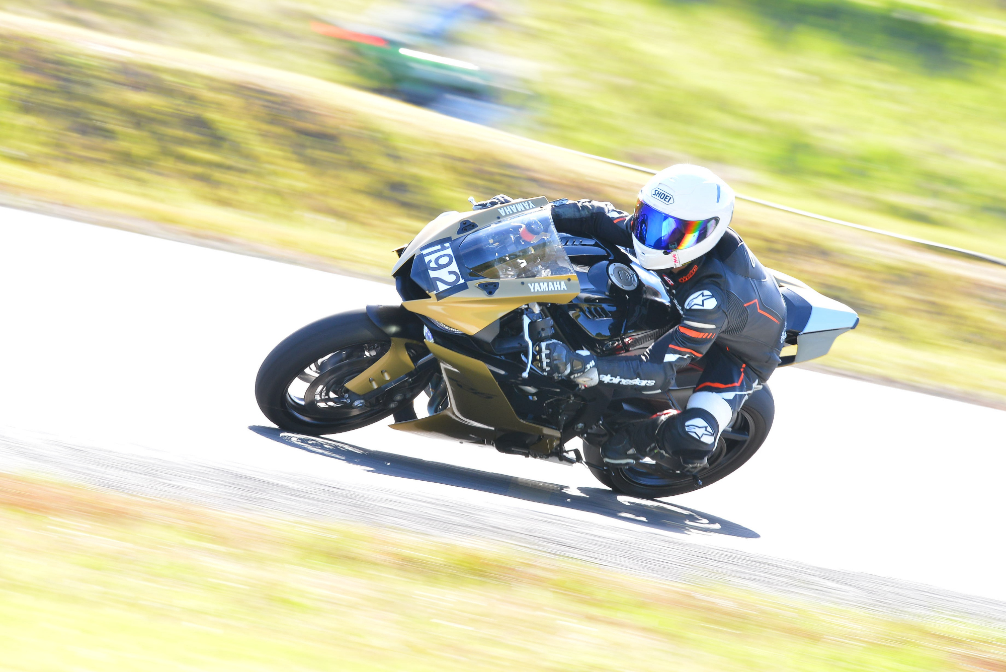 D8J_0307.JPG