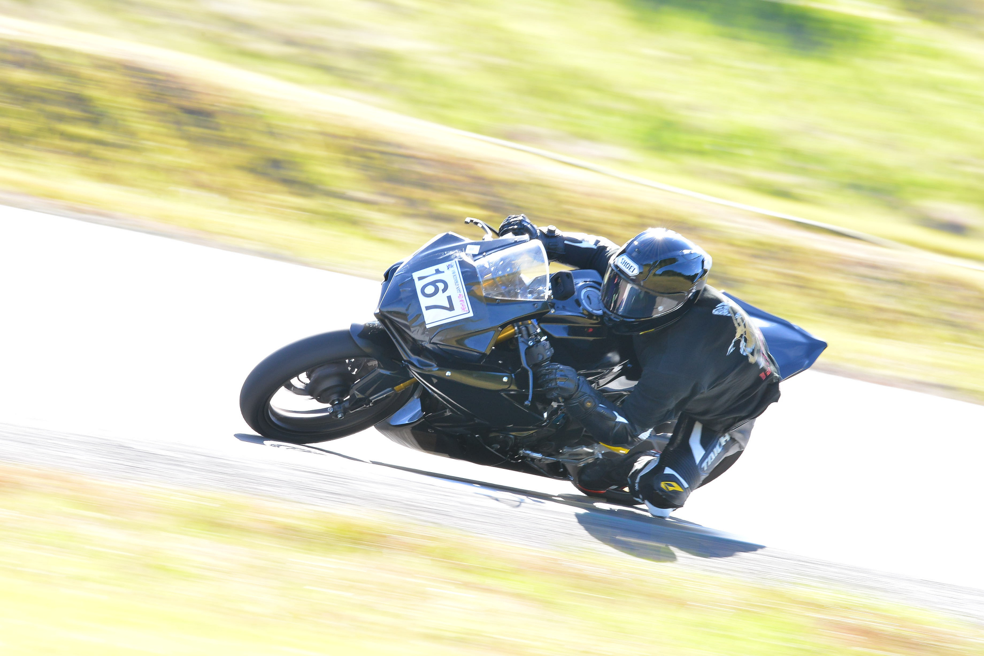 D8J_0308.JPG