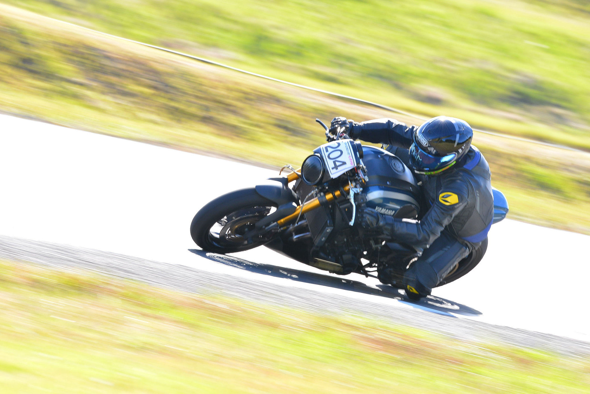D8J_0310.JPG