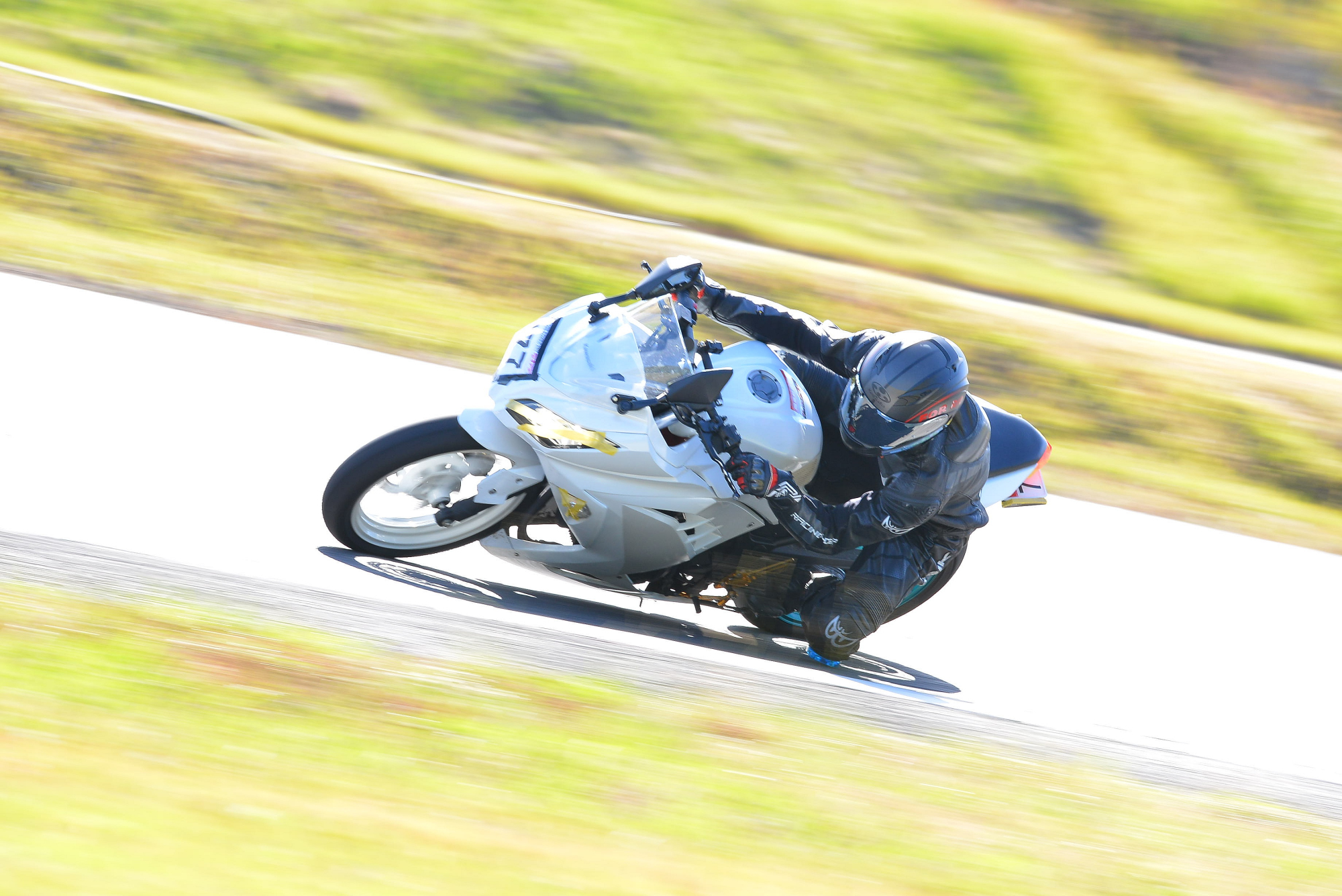 D8J_0338.JPG