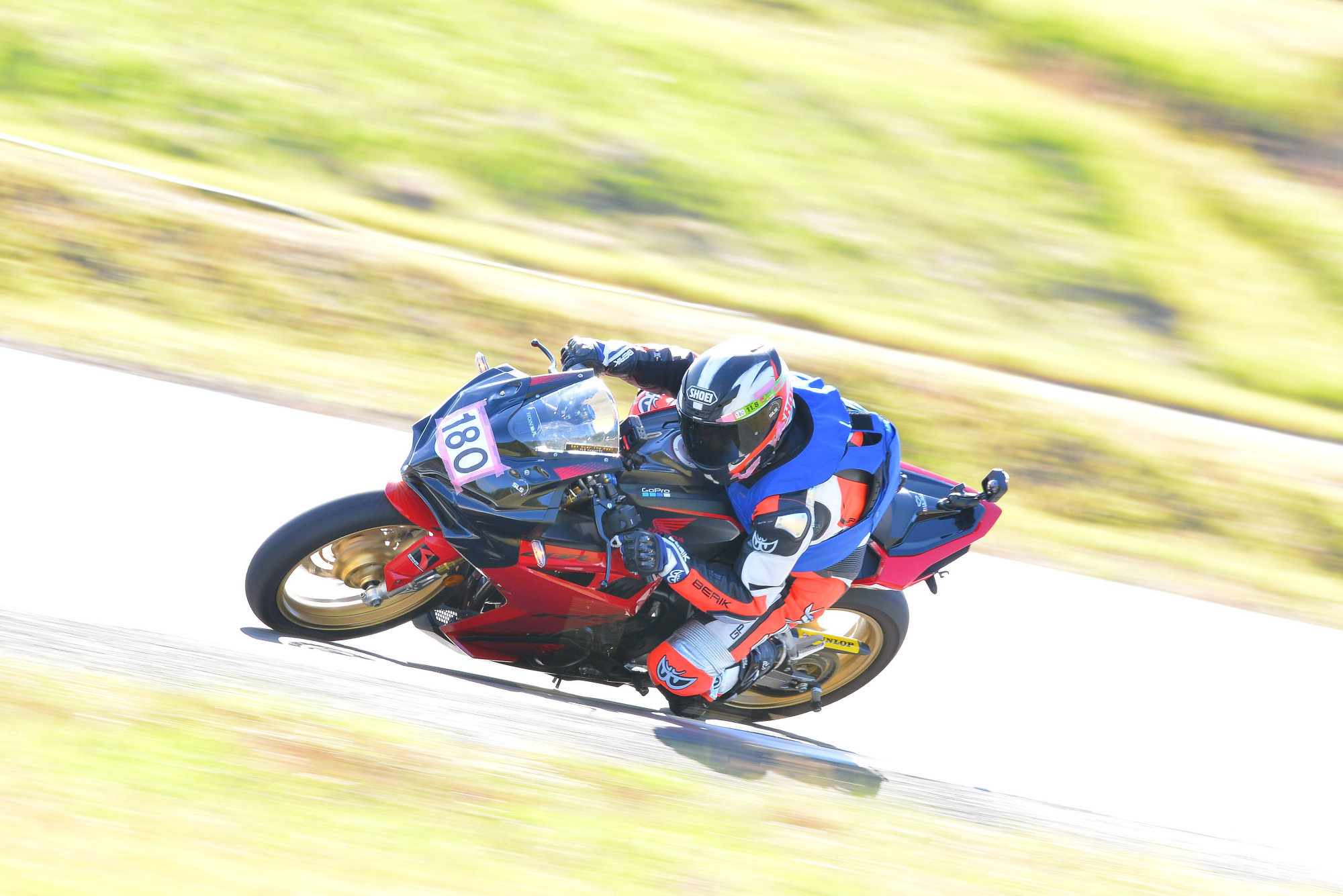 D8J_0340.JPG