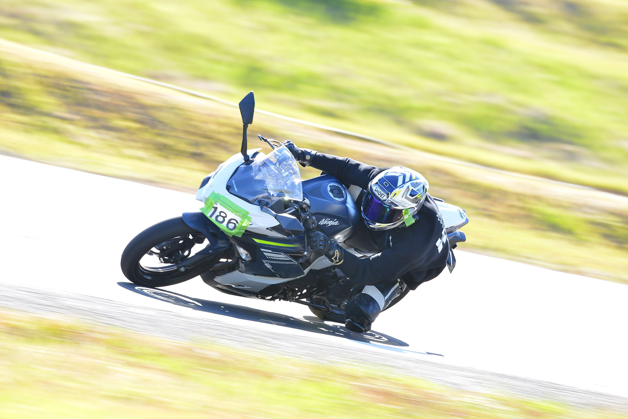 D8J_0374.JPG