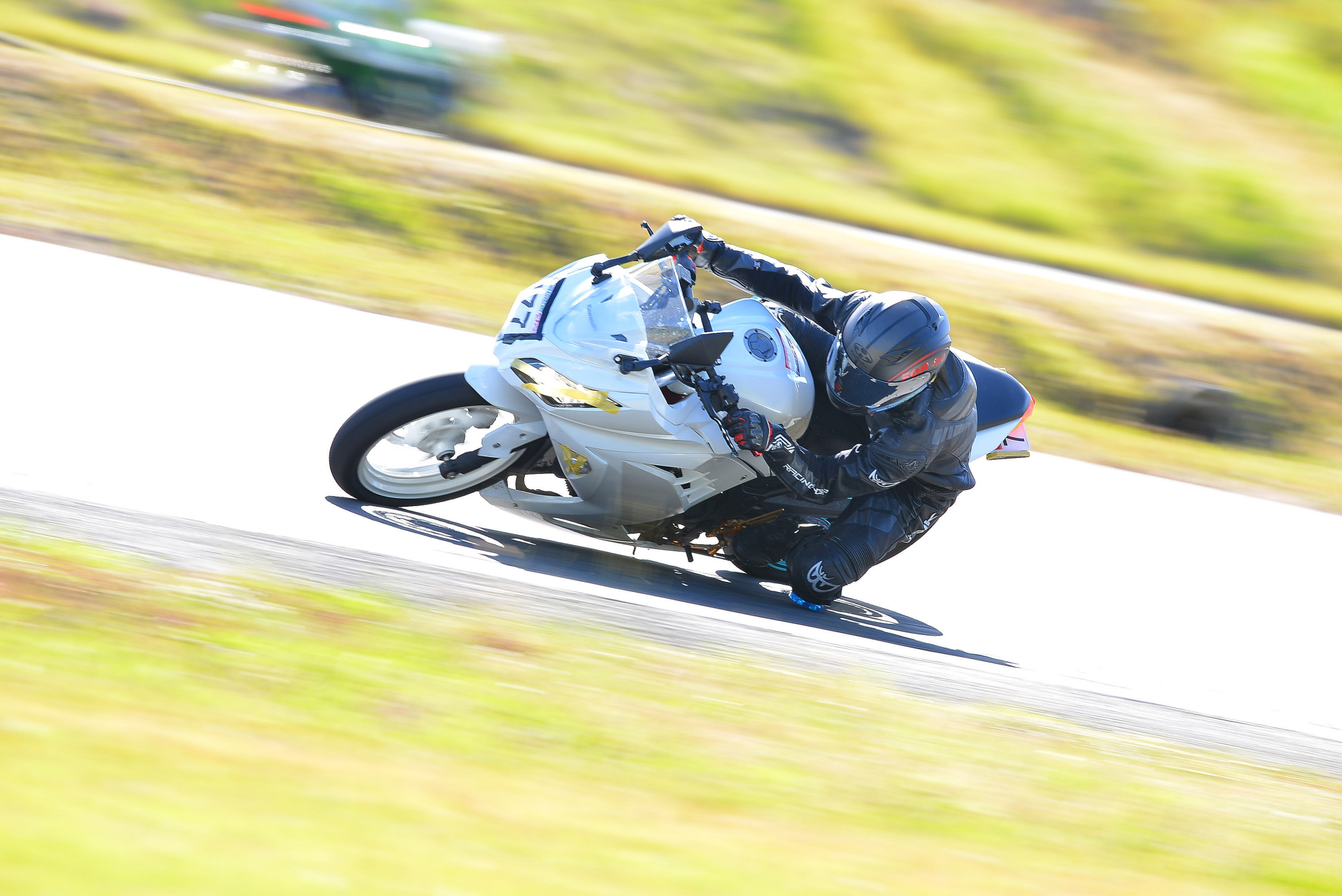 D8J_0397.JPG