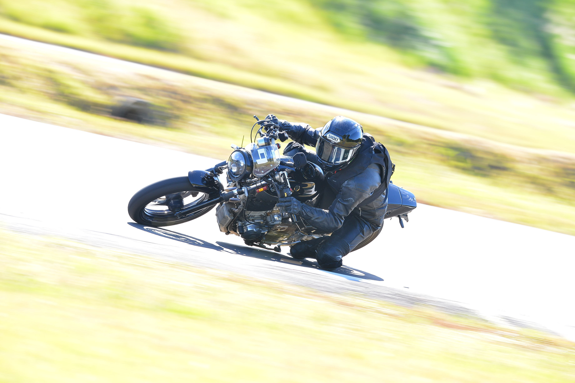 D8J_0406.JPG
