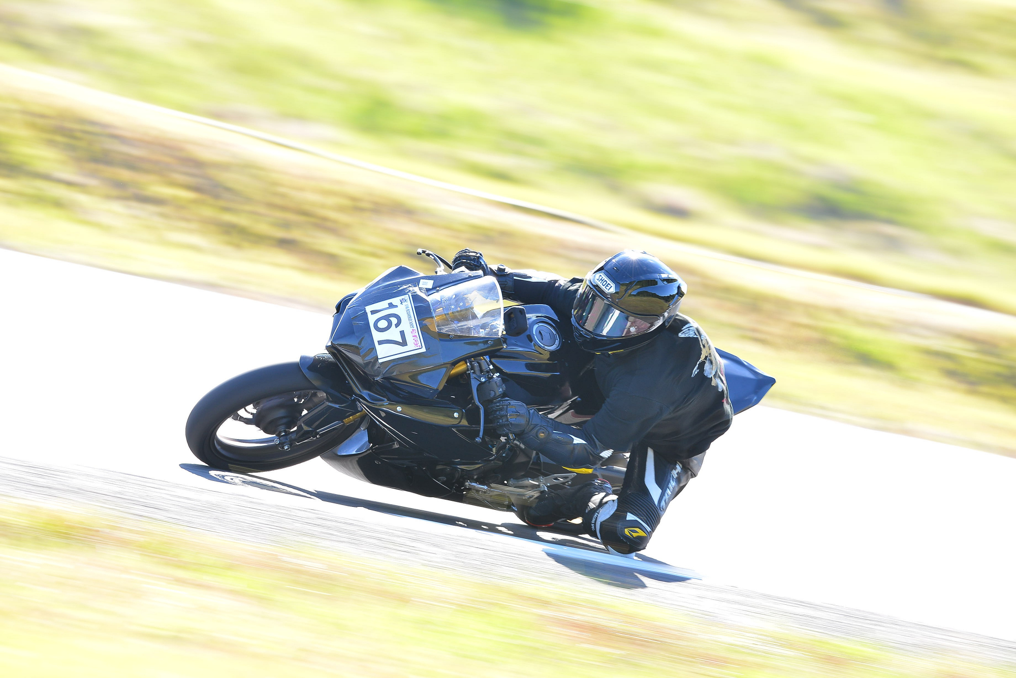 D8J_0419.JPG